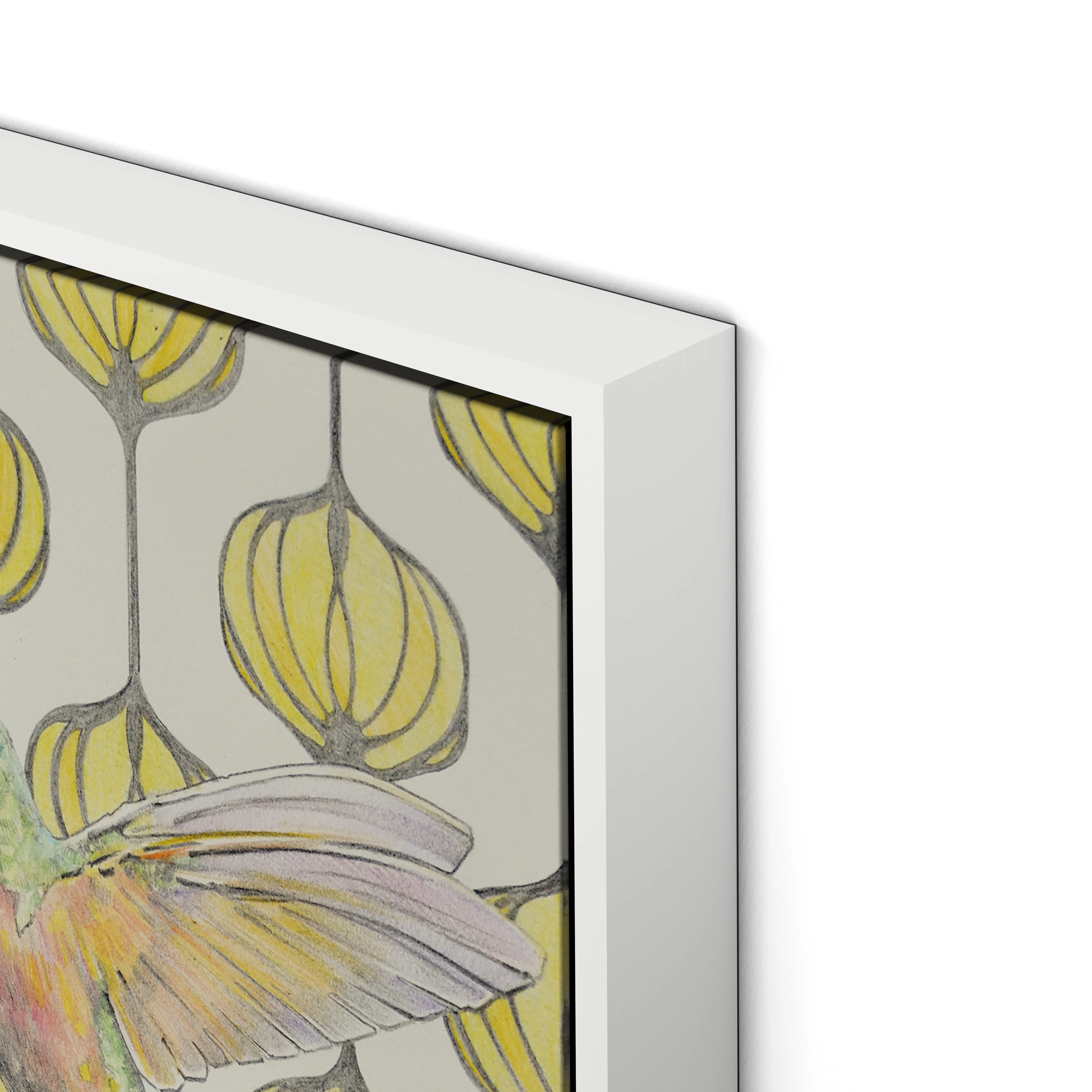 Amazilia Lanterns - Image 11