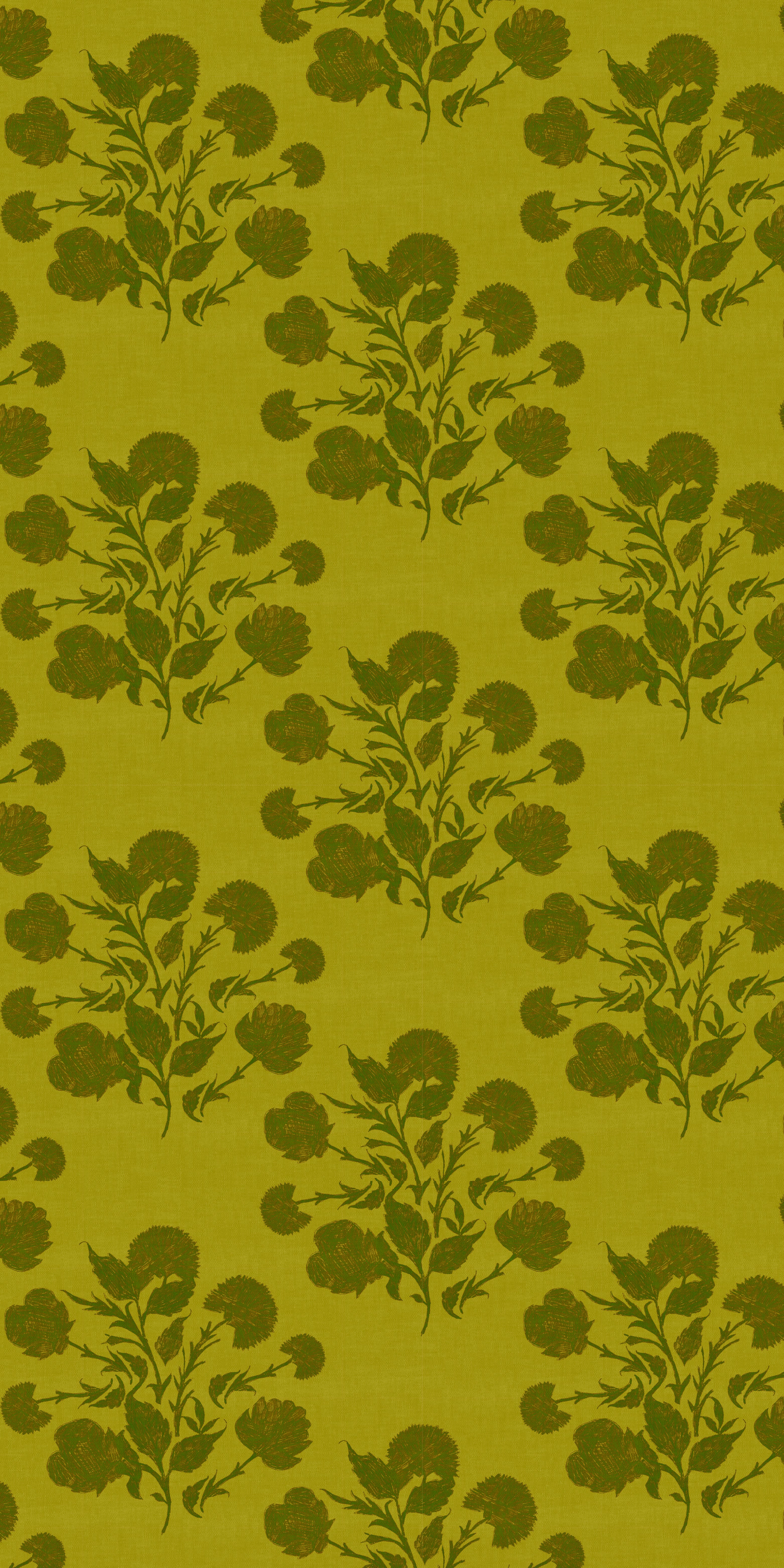 Anna - Chartreuse