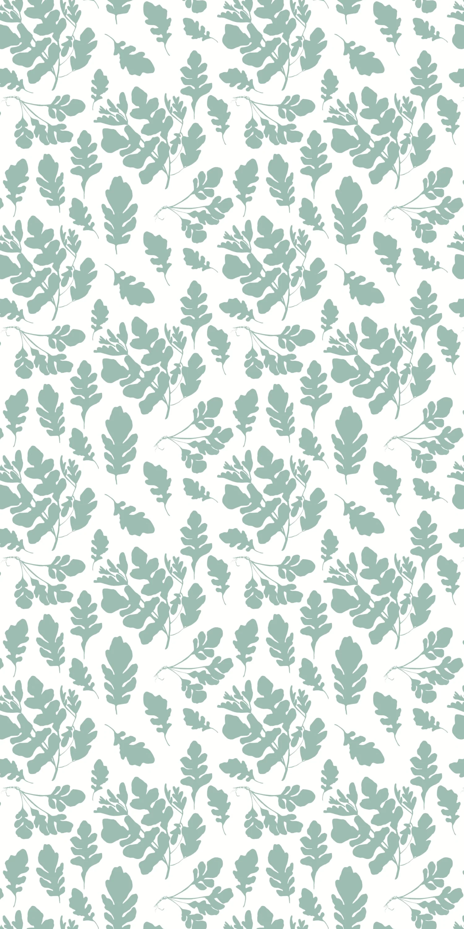 Arugula - Image 3