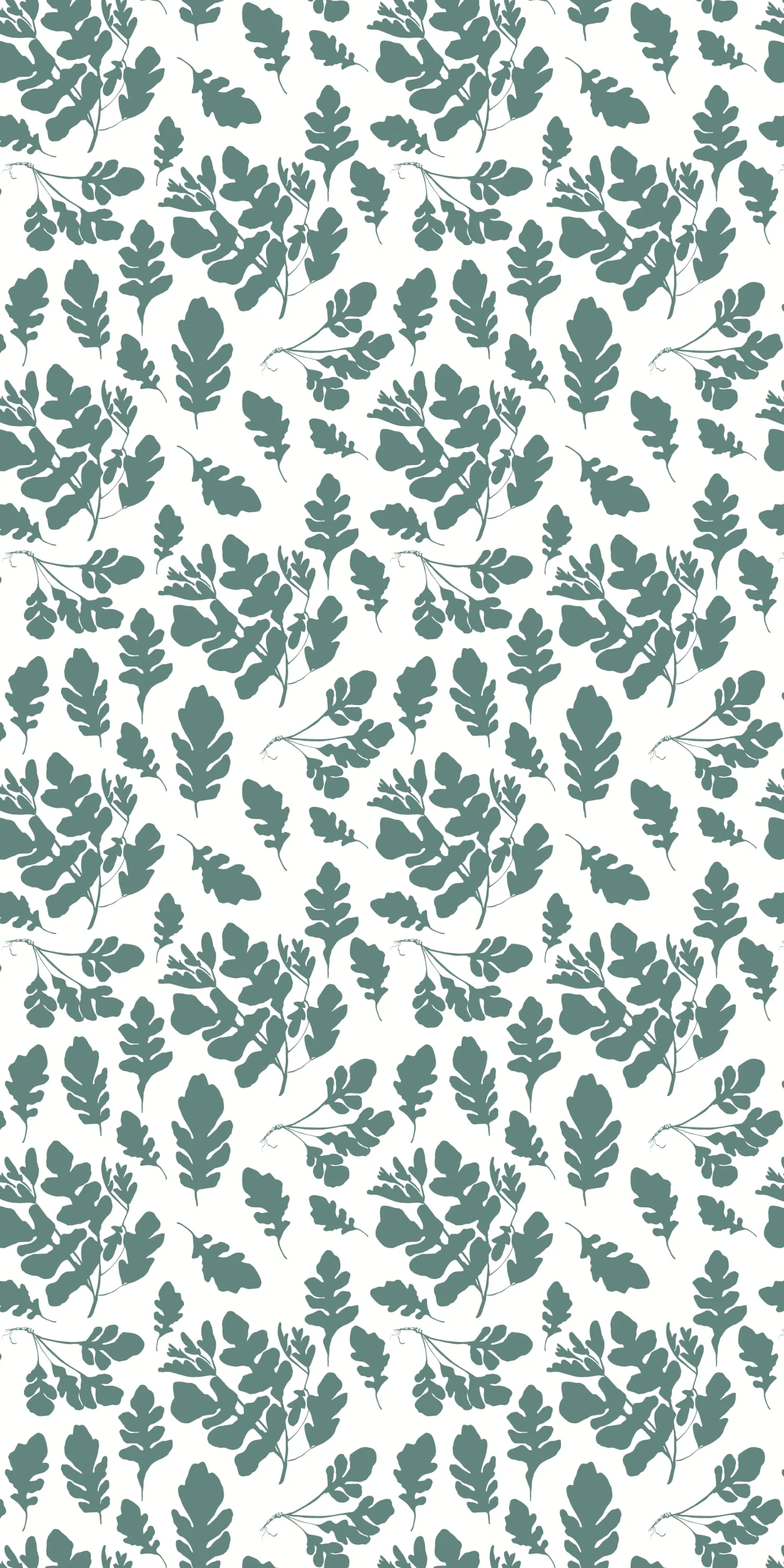 Arugula - Image 4