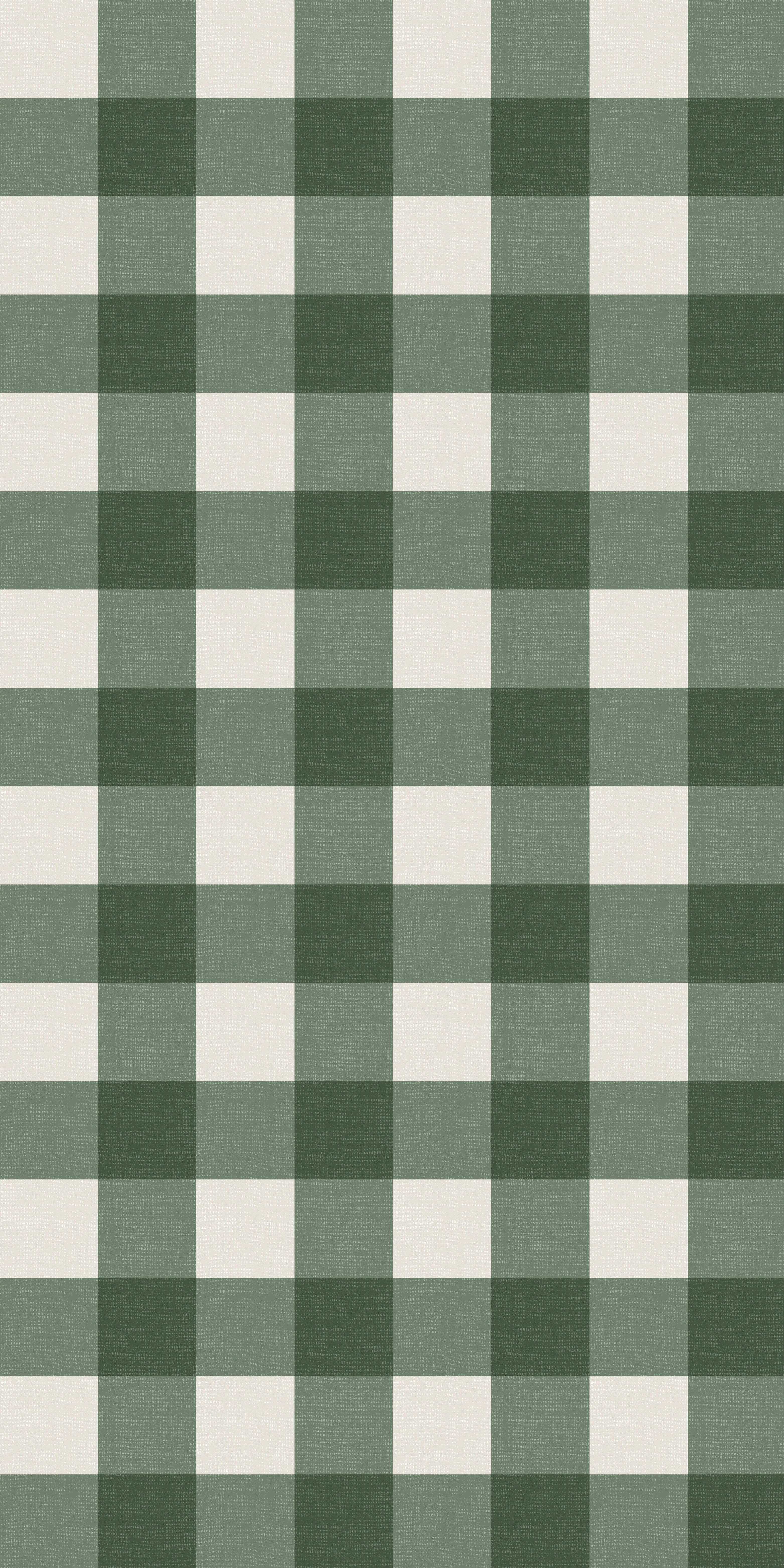 Big Gingham - Image 6