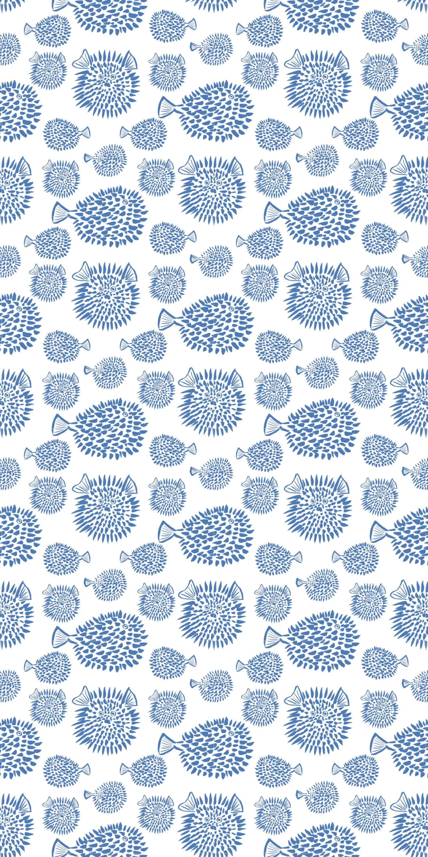 Blowfish - Image 3