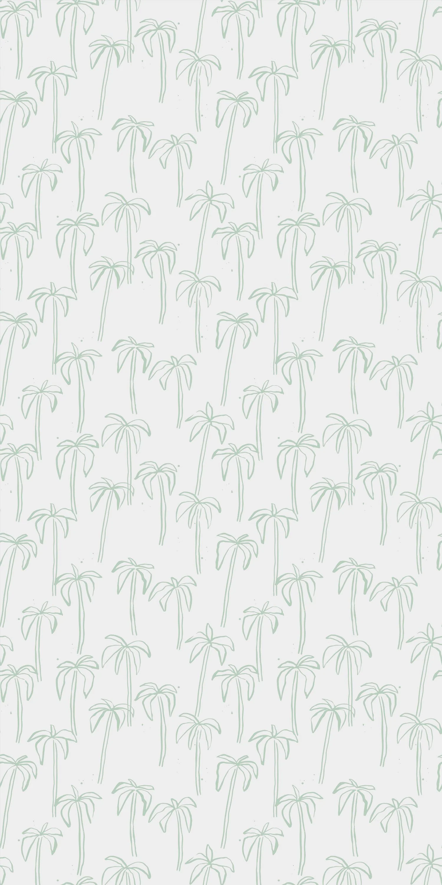 California Palm - Image 3