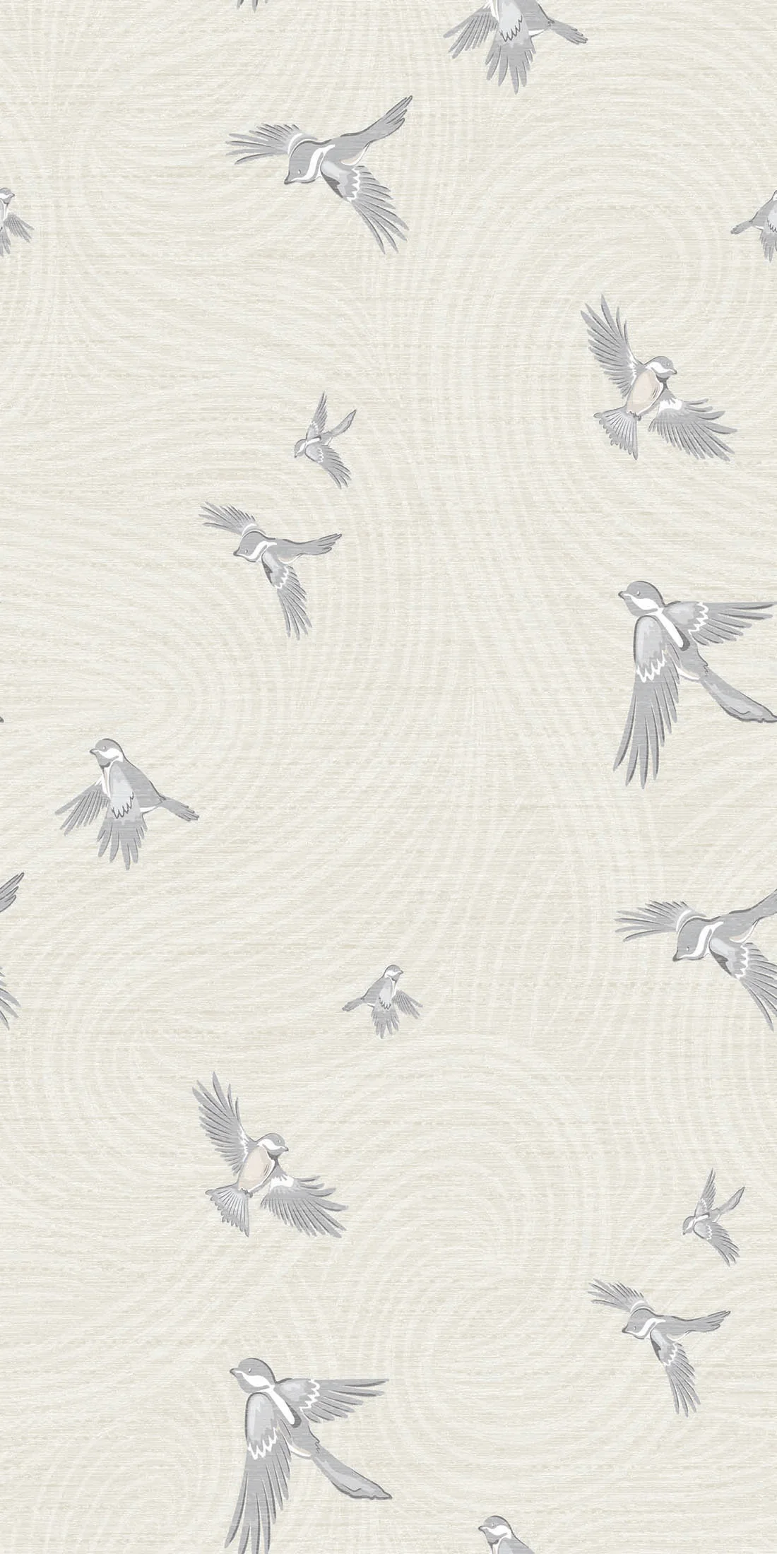 Chickadee Birds - Image 2