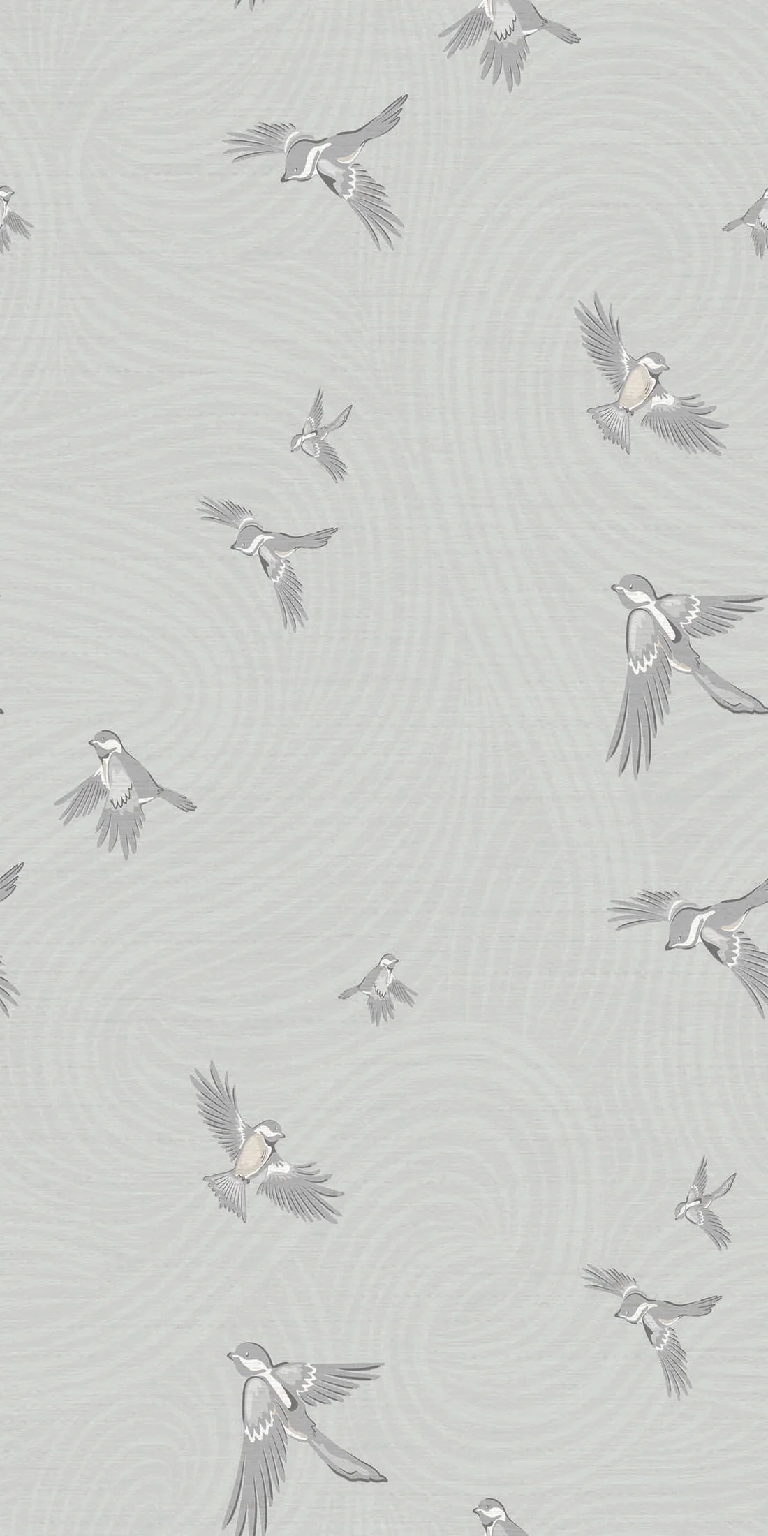 Chickadee Birds - Image 3