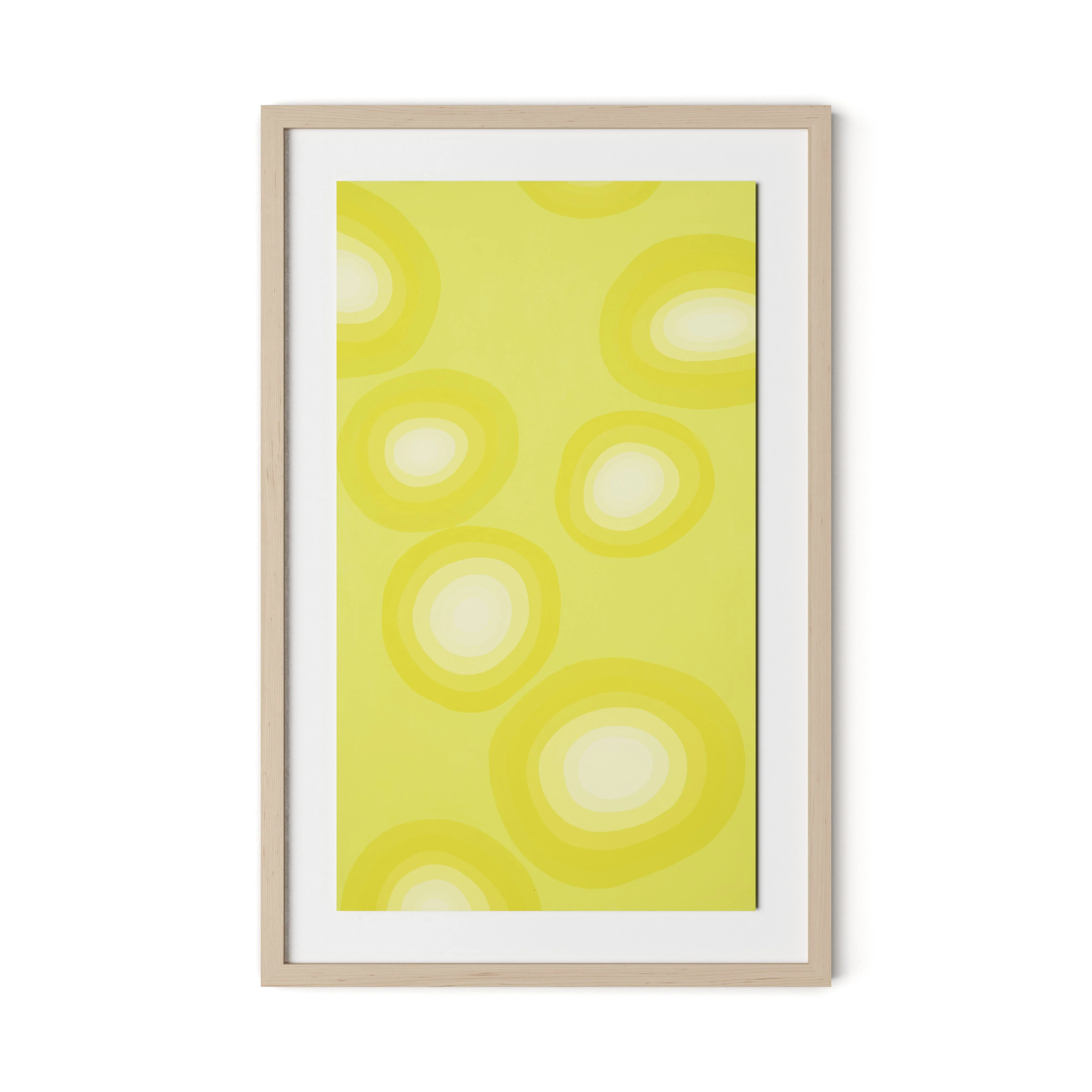 Citrus Rounds - Image 6