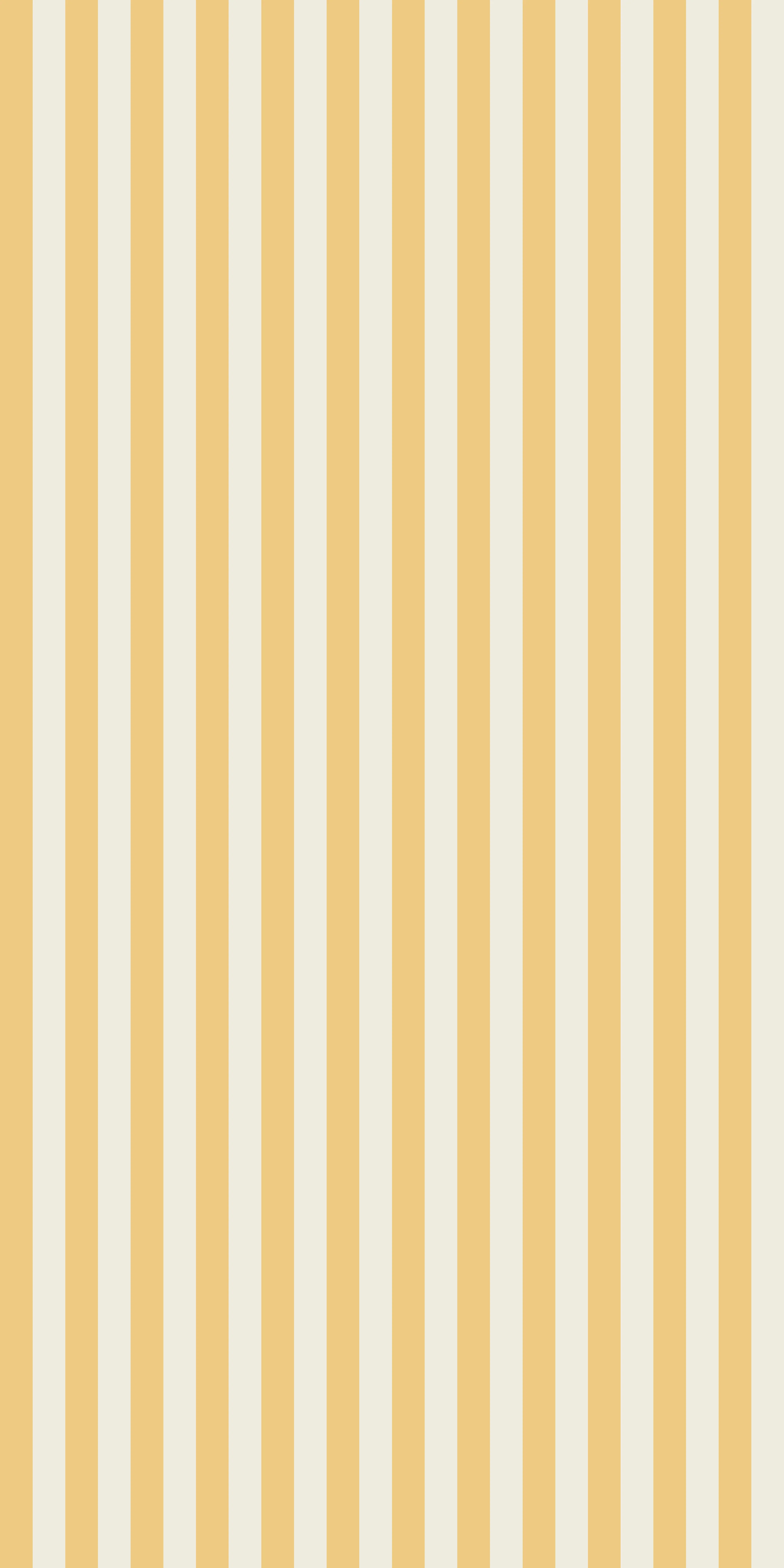 Classic Stripe