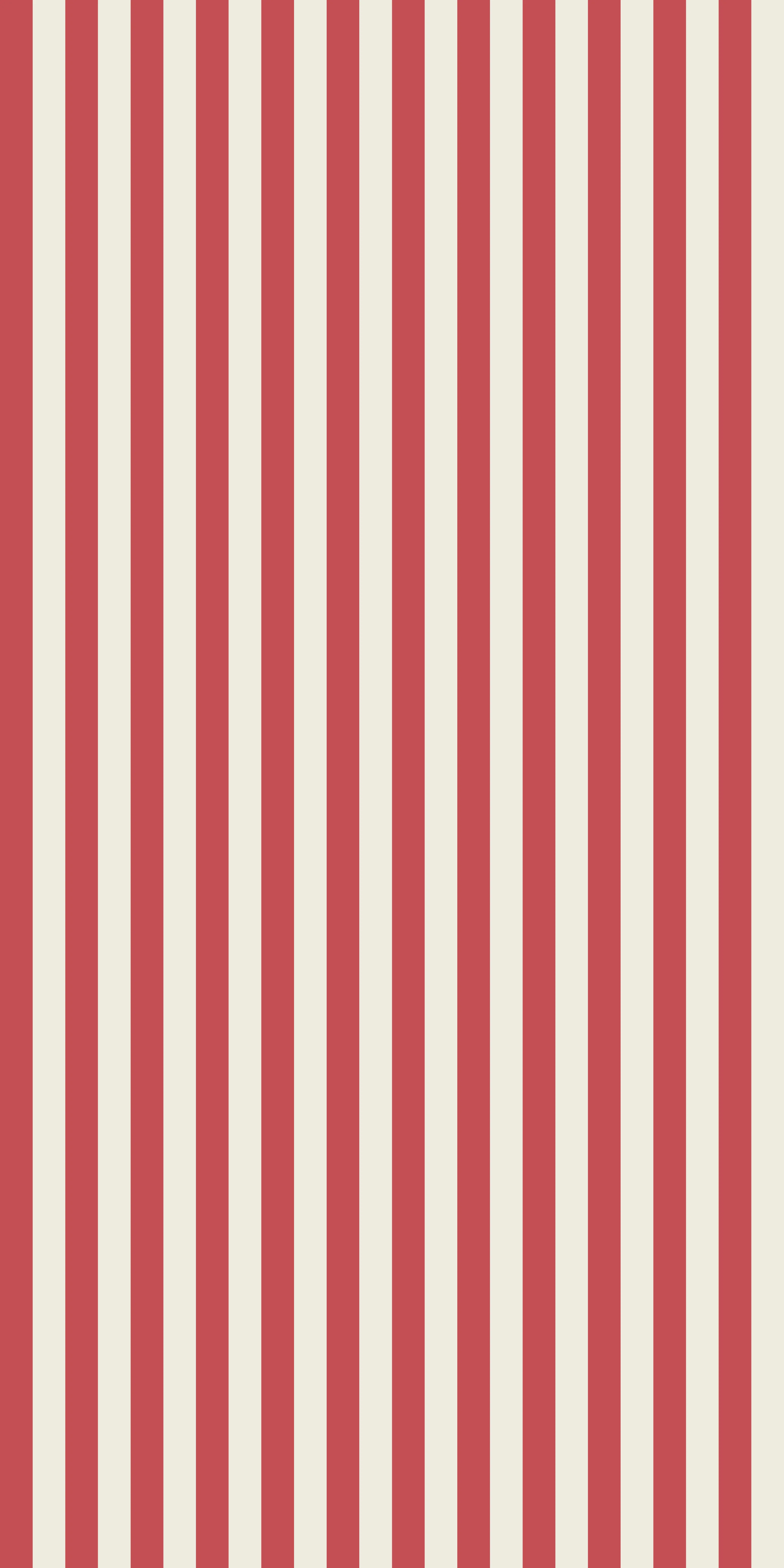 Classic Stripe - Image 3
