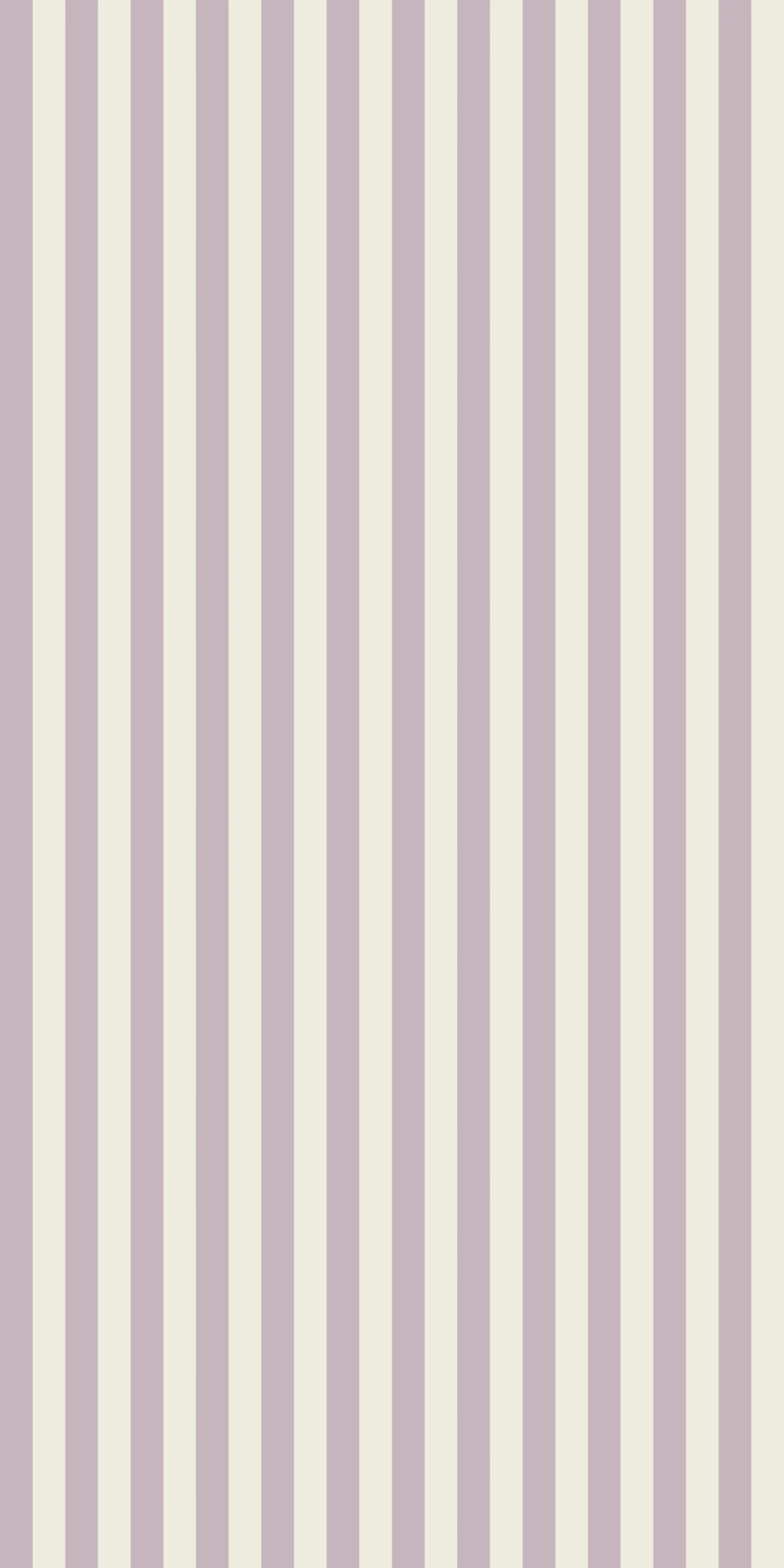 Classic Stripe - Image 4