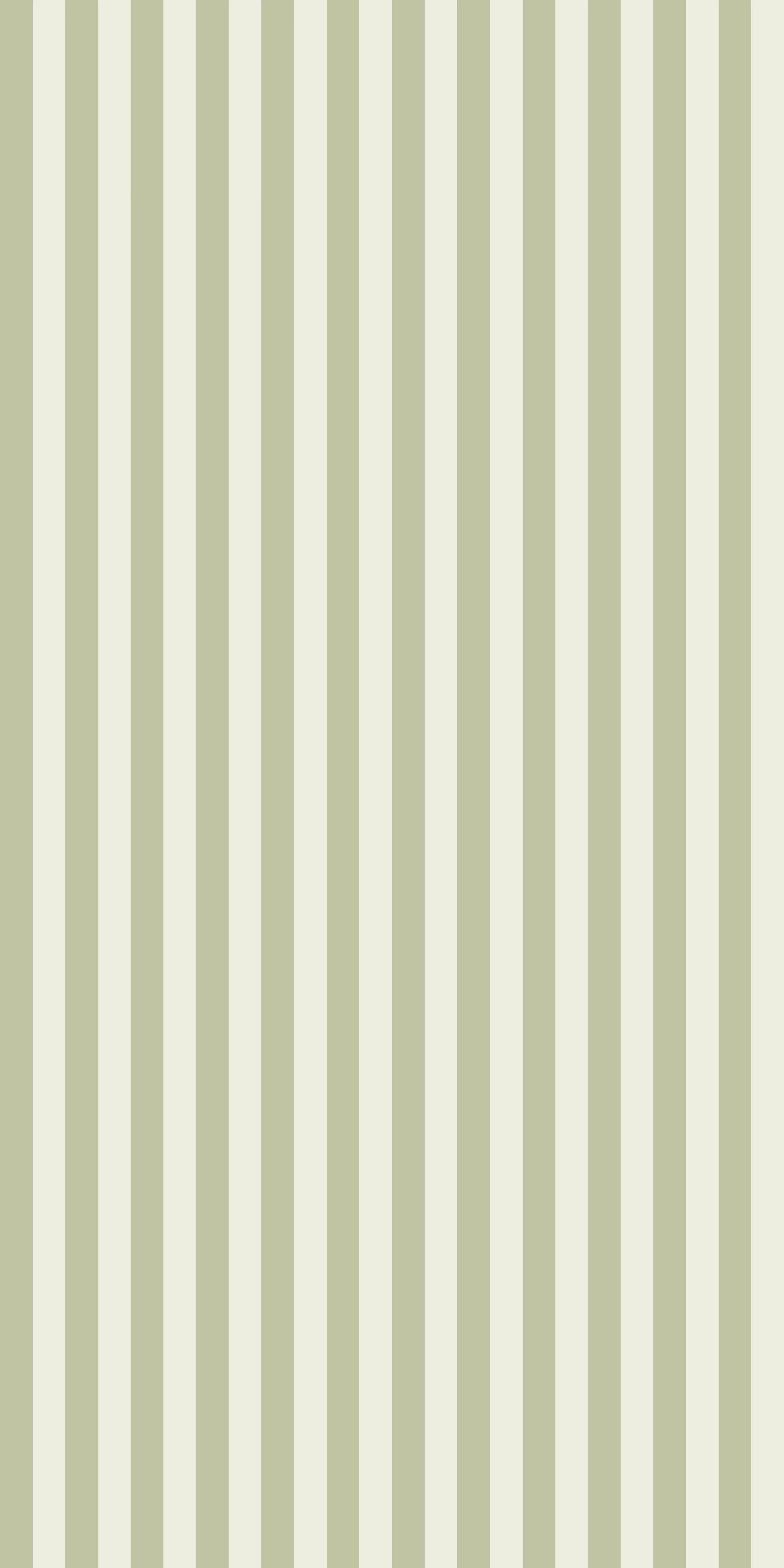 Classic Stripe - Image 6