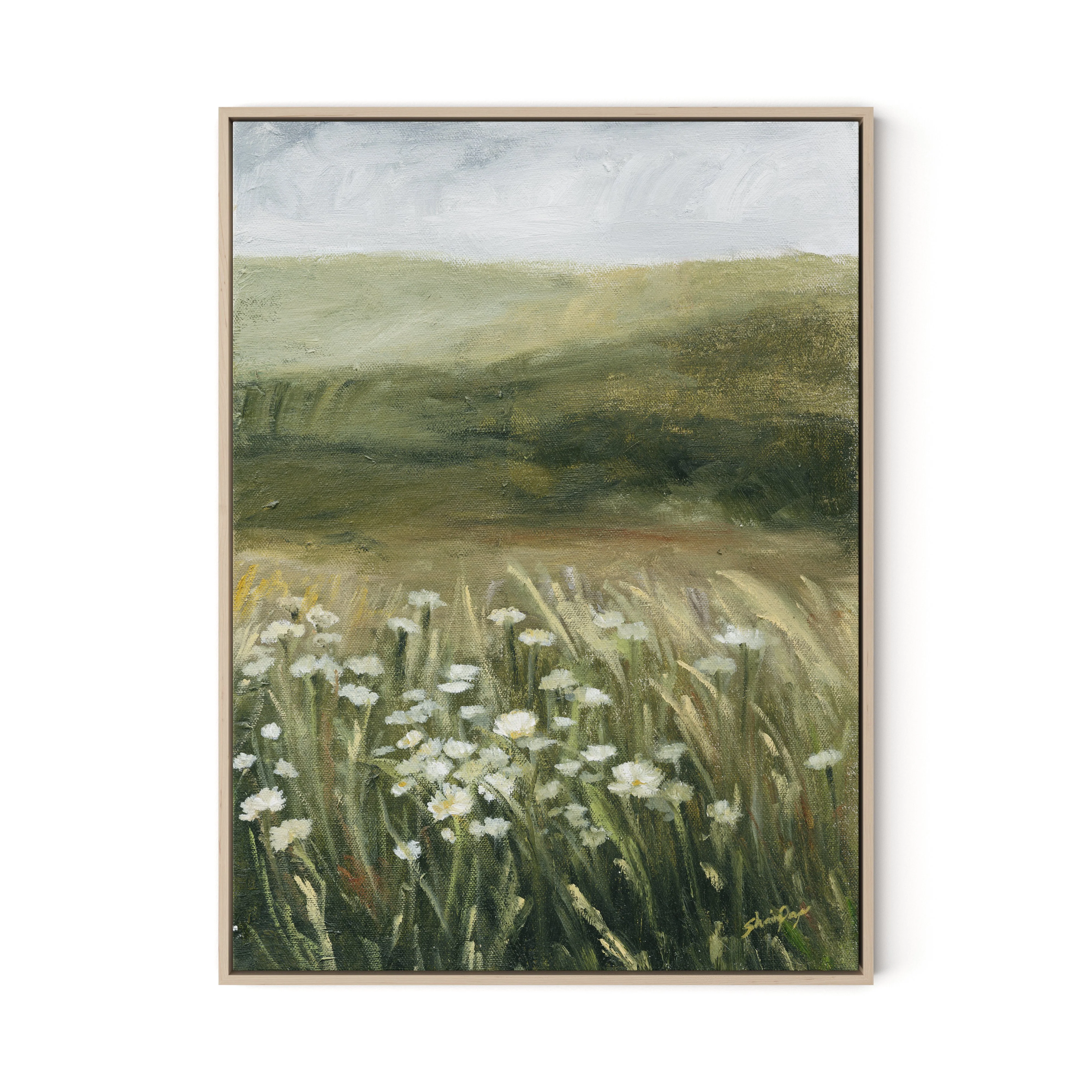 Daisy Field