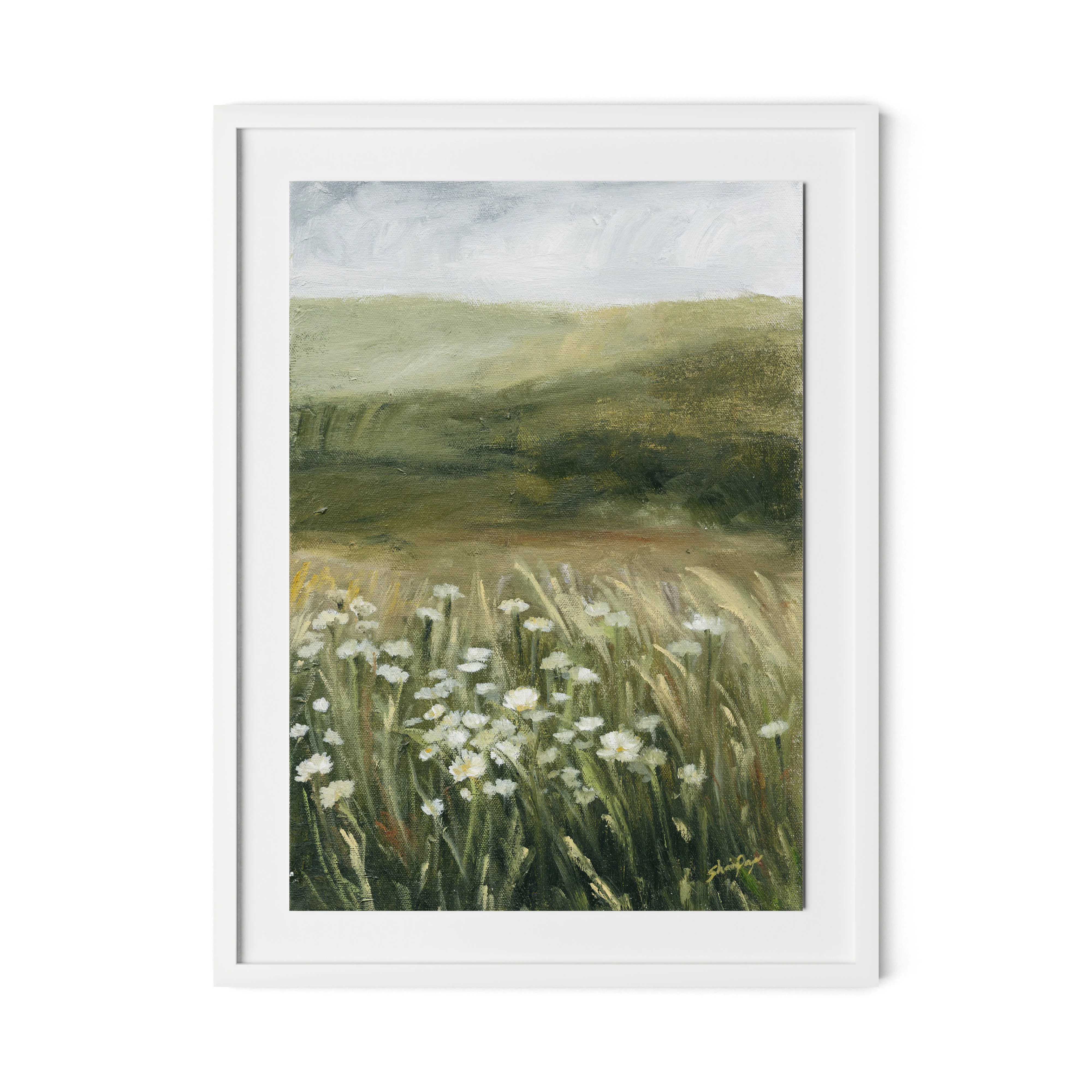 Daisy Field - Image 2