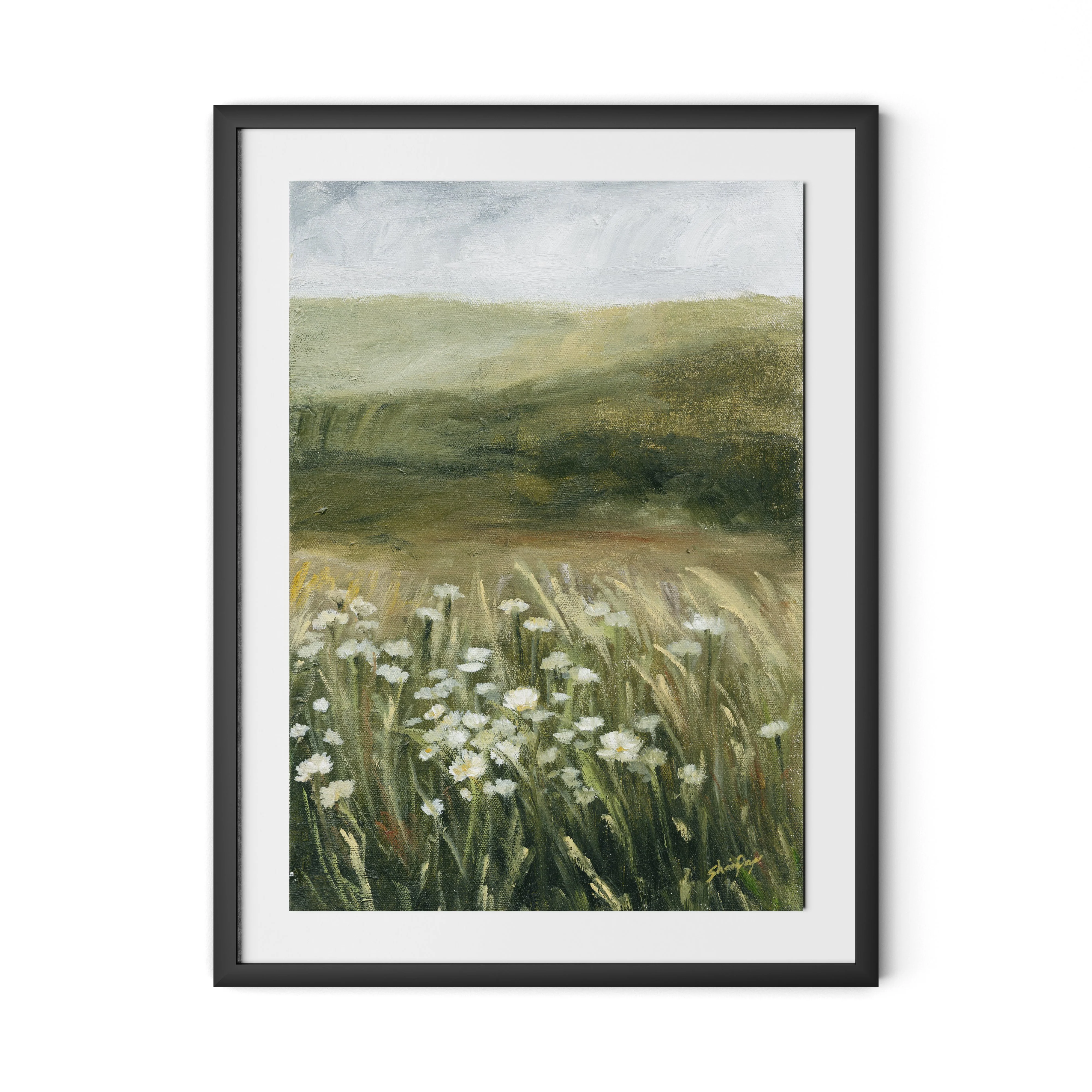 Daisy Field - Image 4