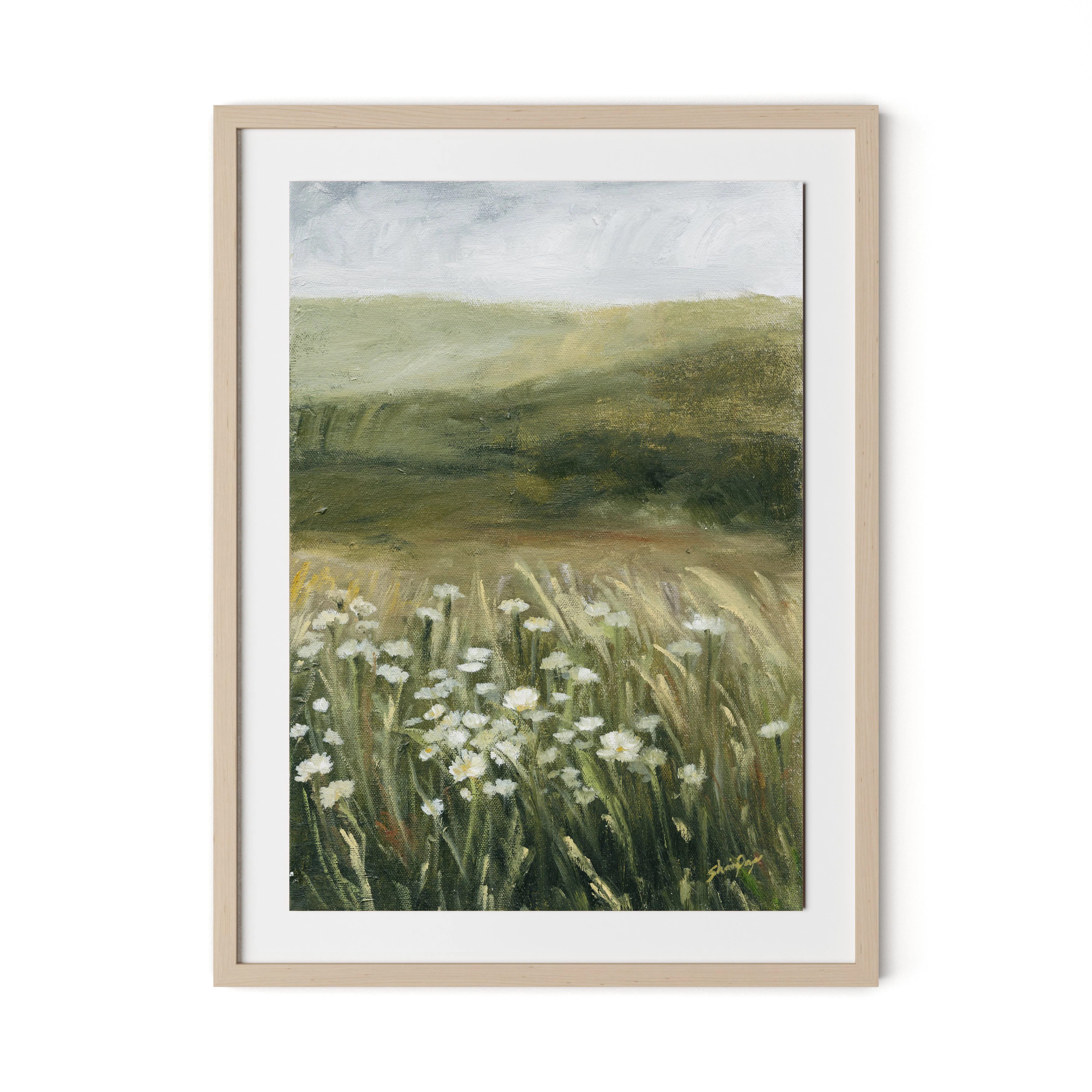 Daisy Field - Image 6