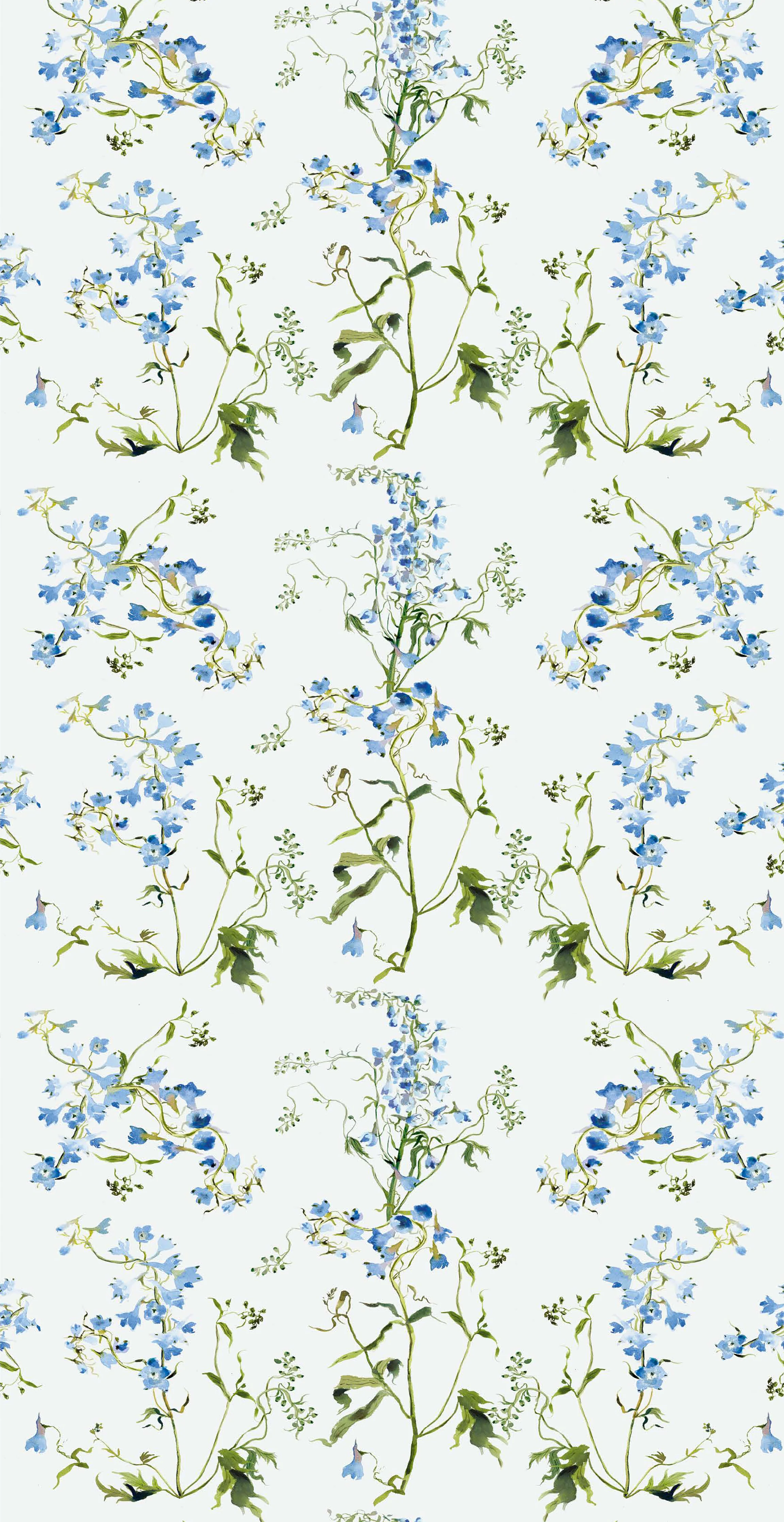Delphinium