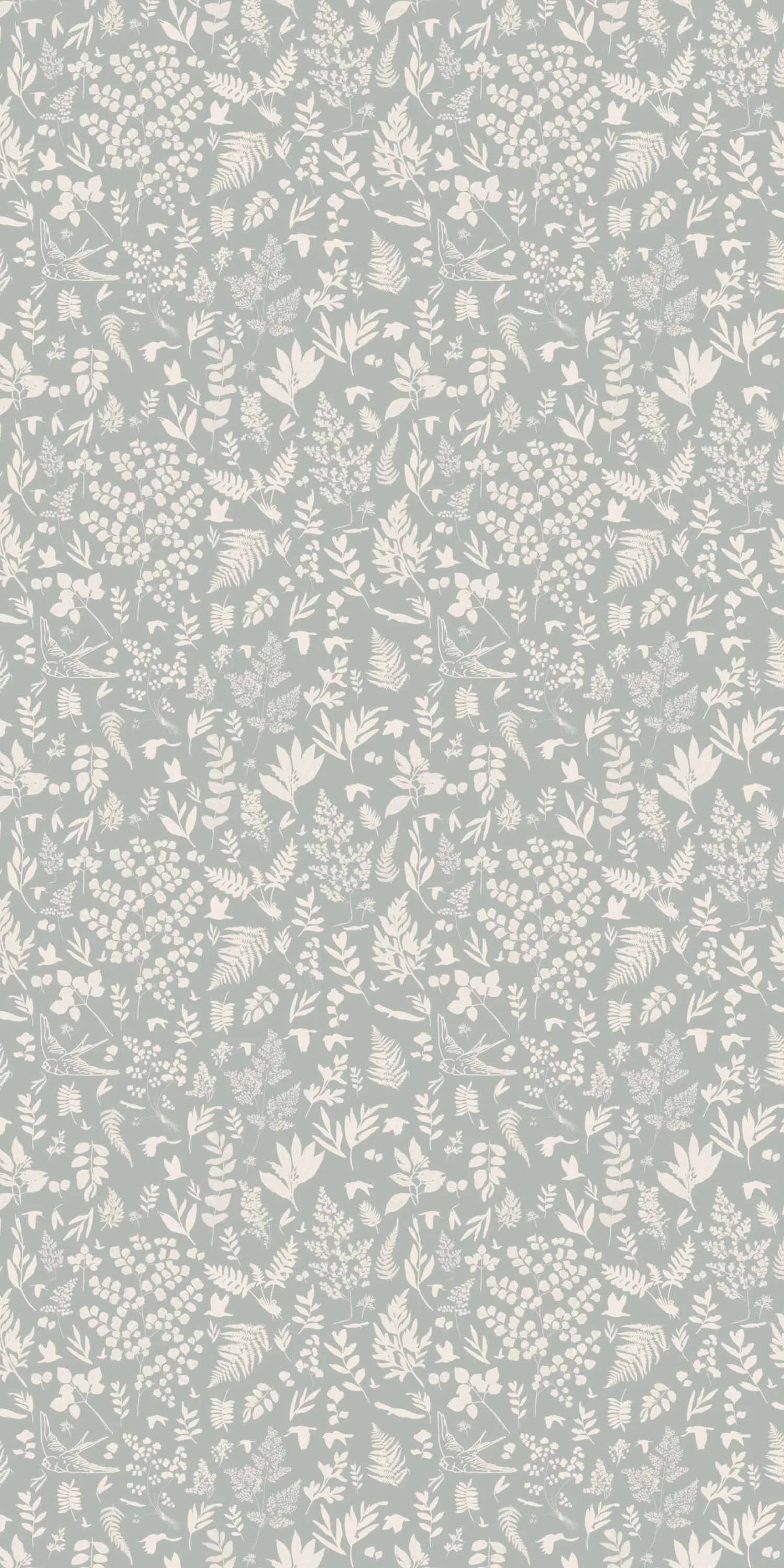 Fern - Image 2