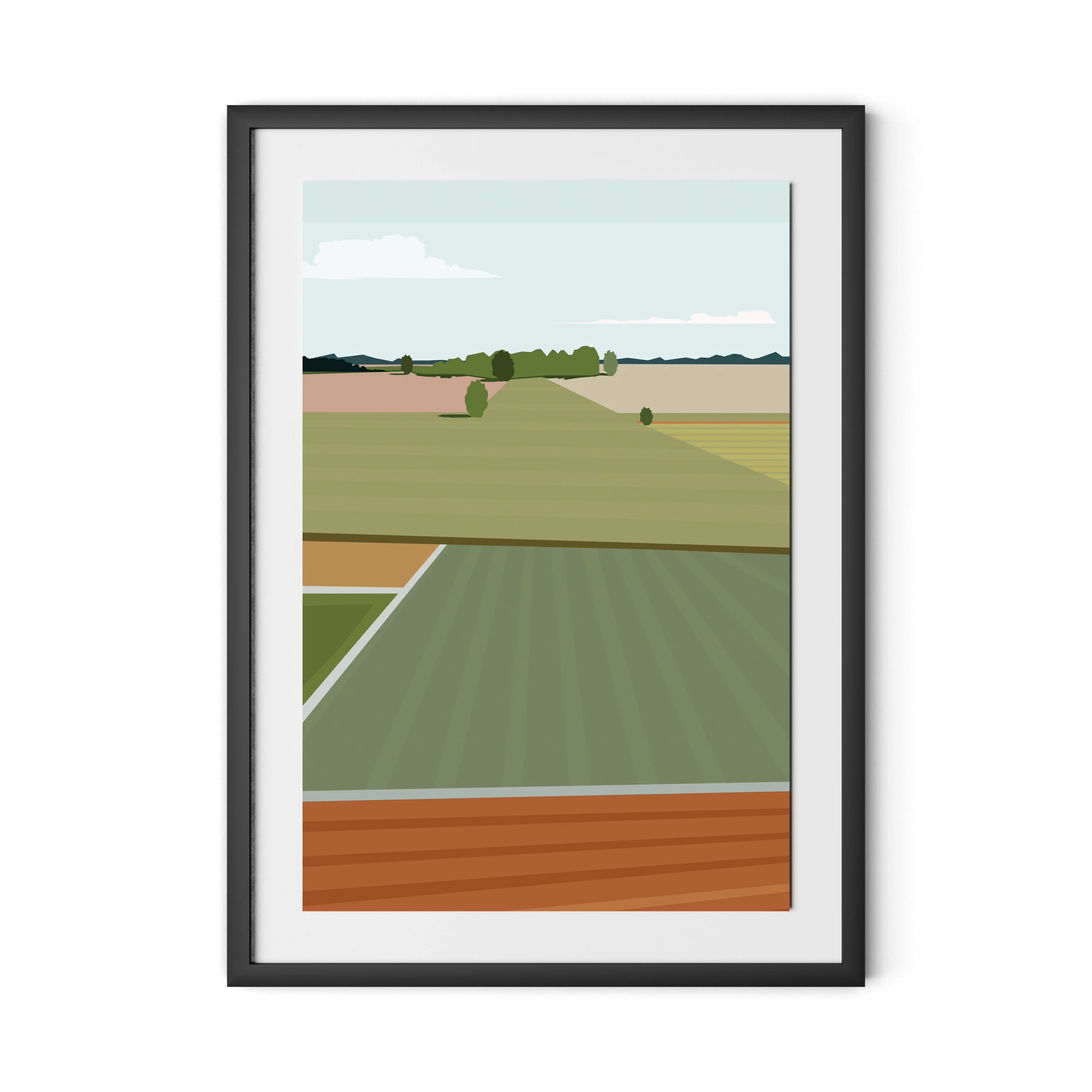 Fields