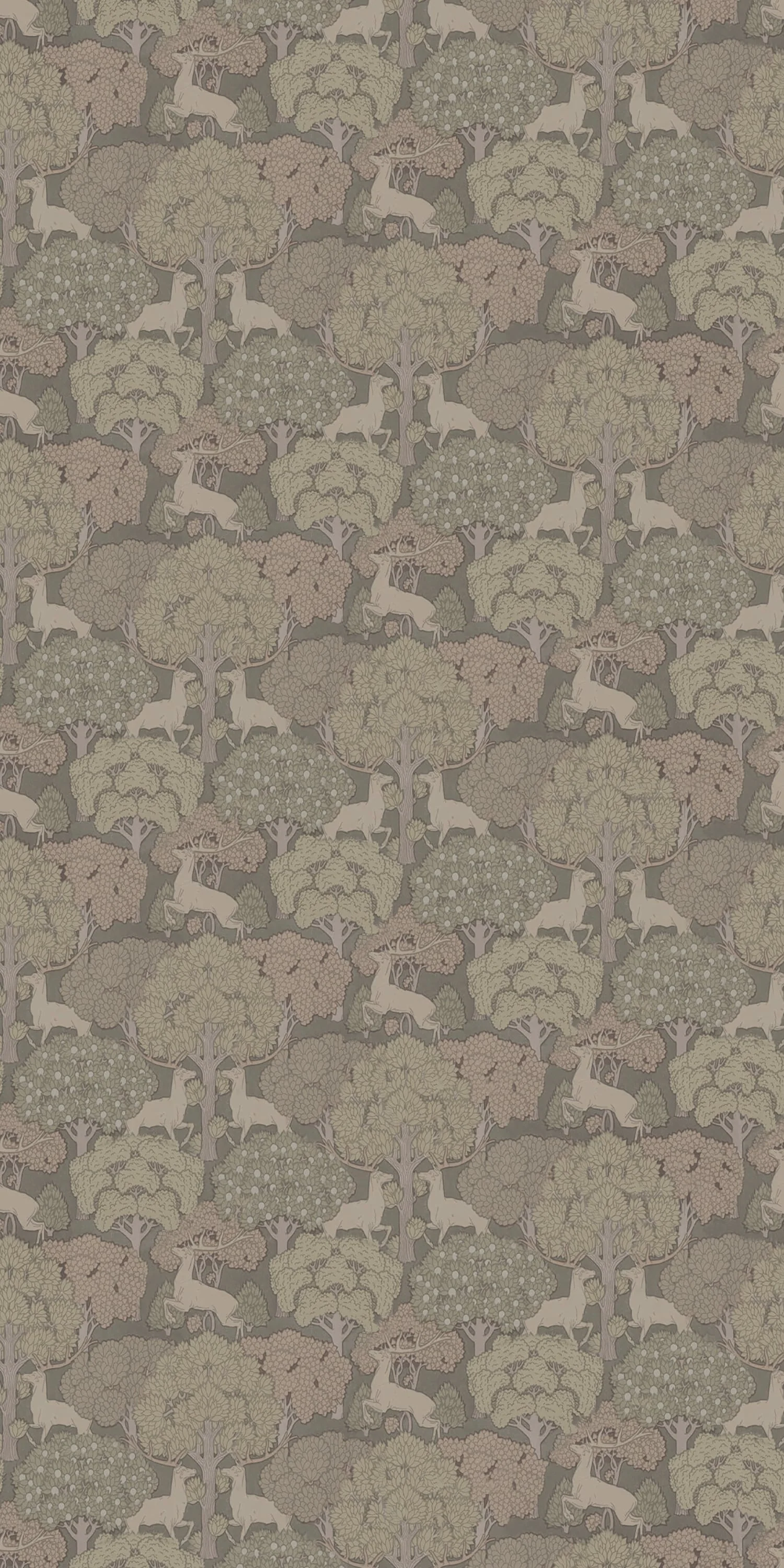 Forest - Image 2