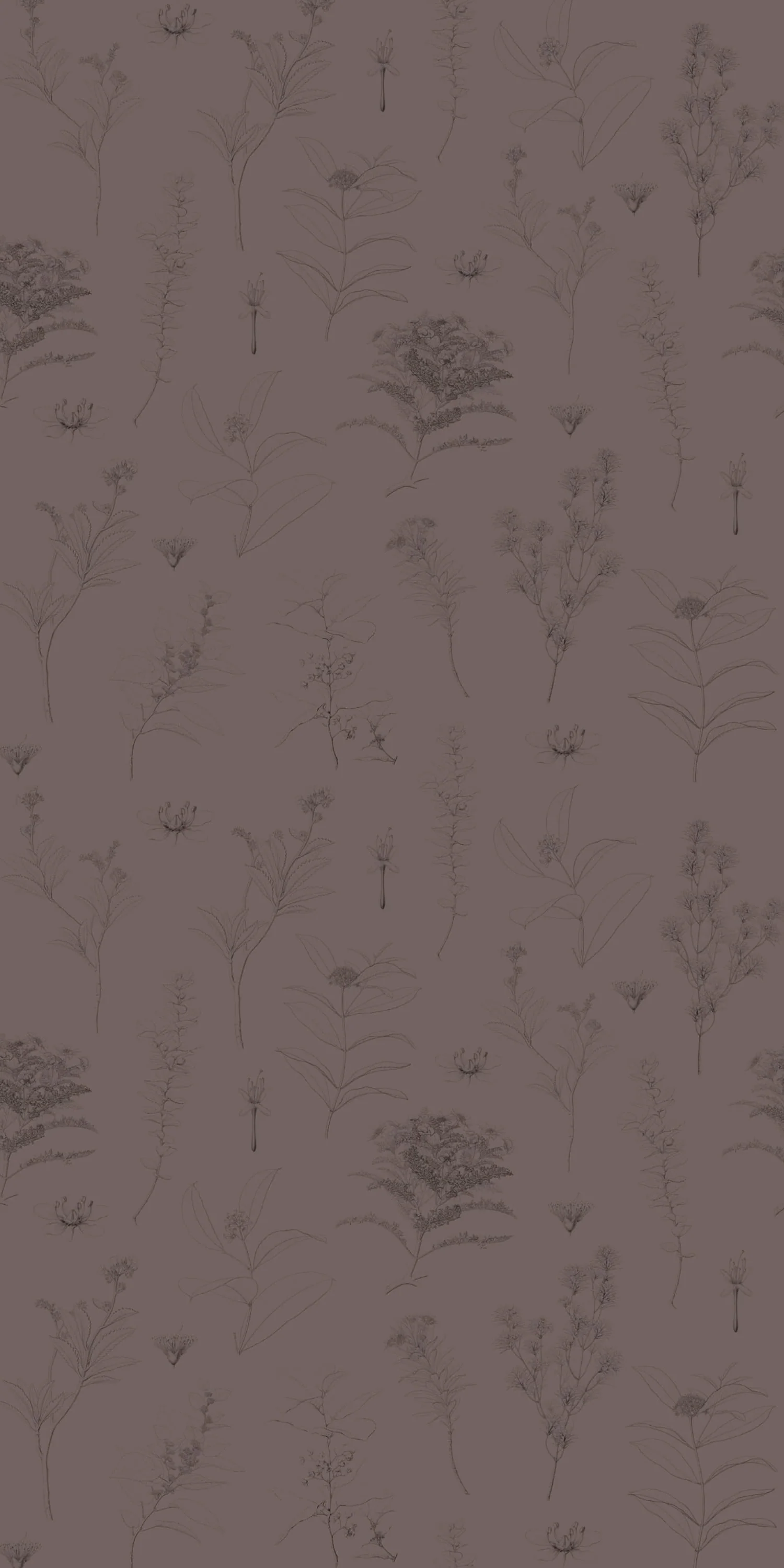 Gather - Image 3