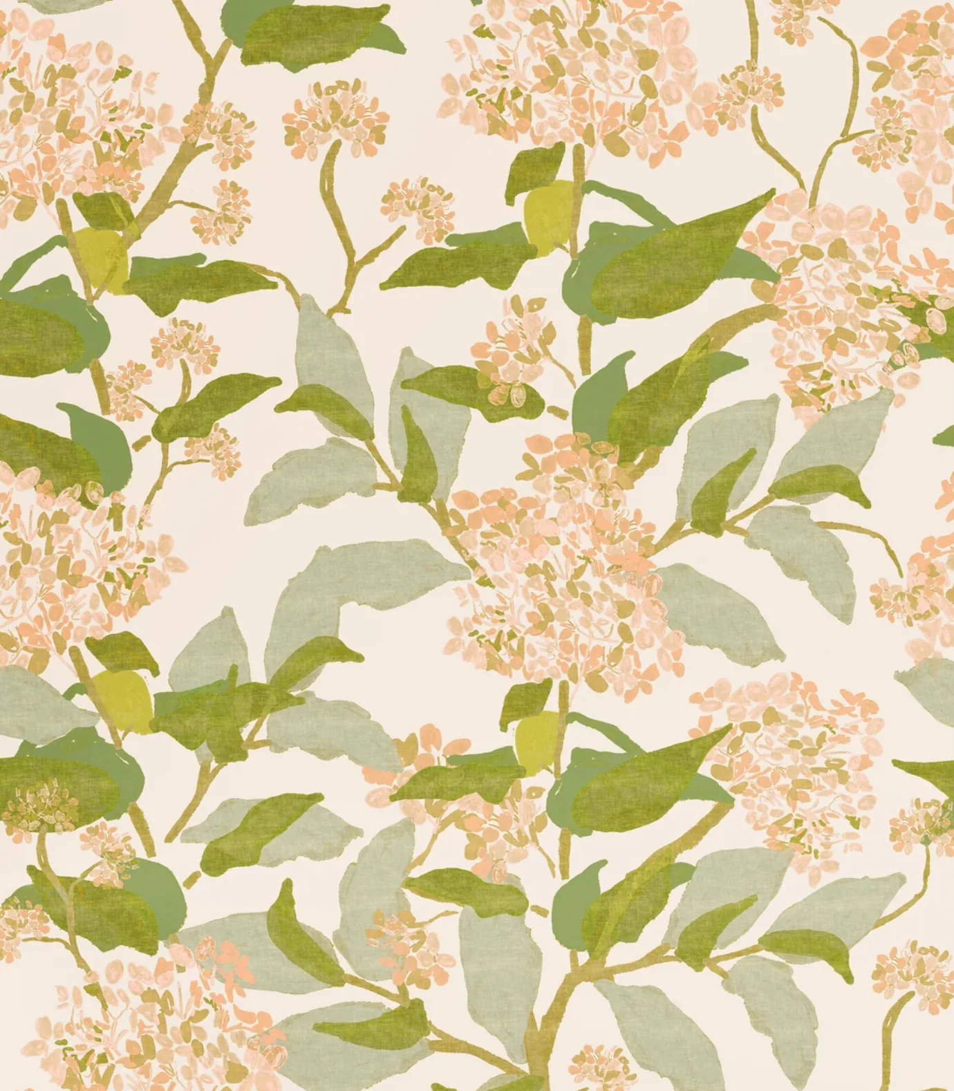 Grier - Peach Hydrangea