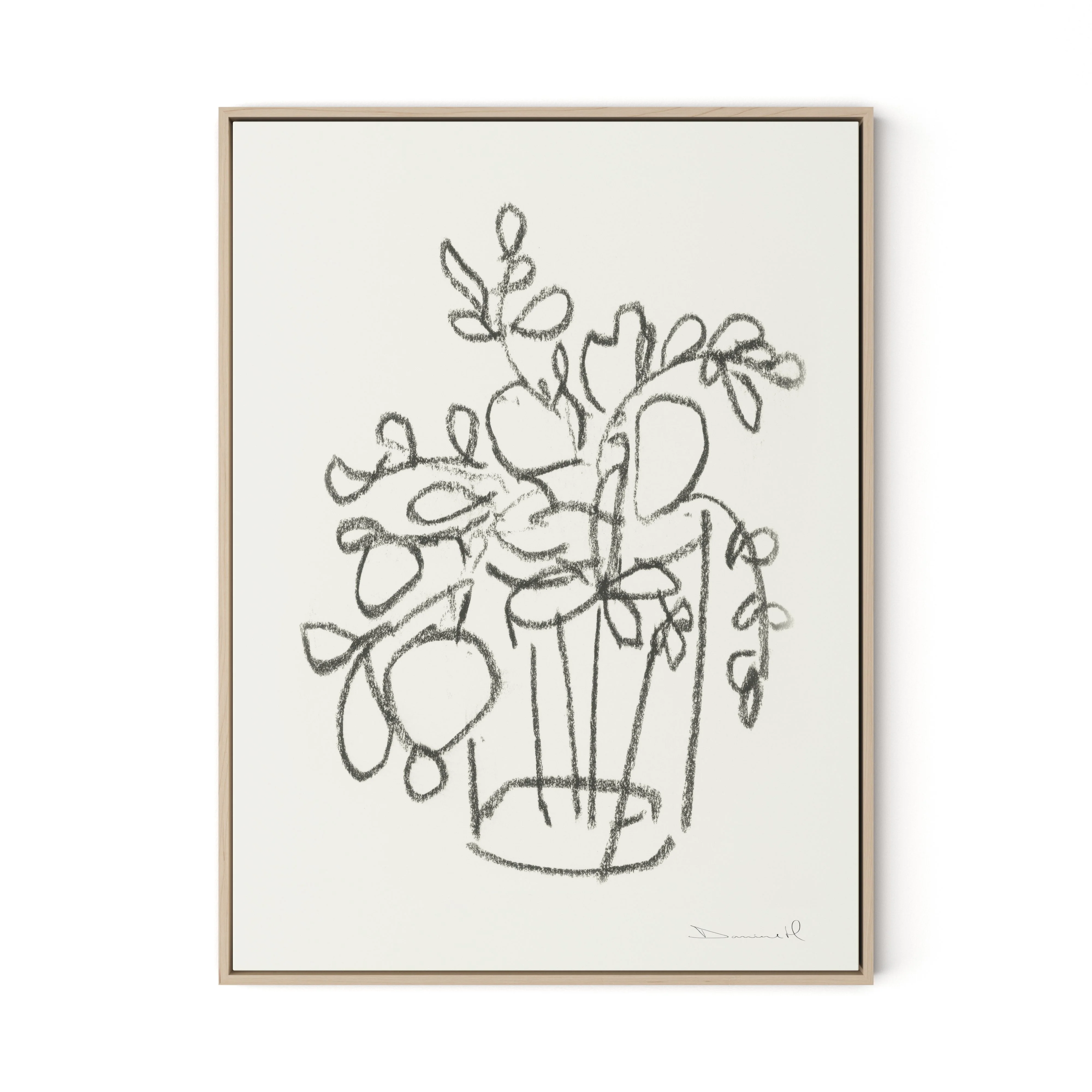 House Plant