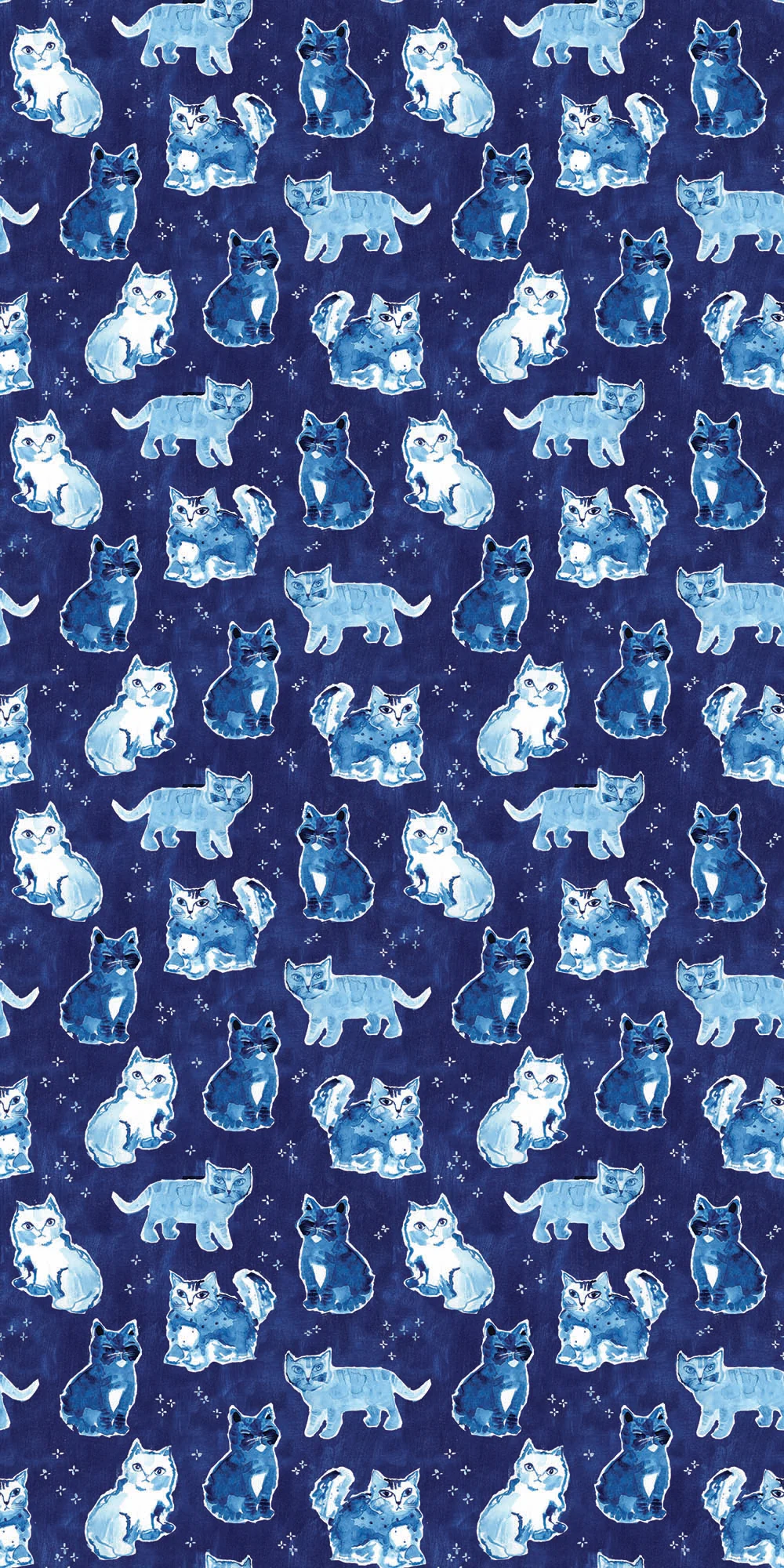 Indigo Cats