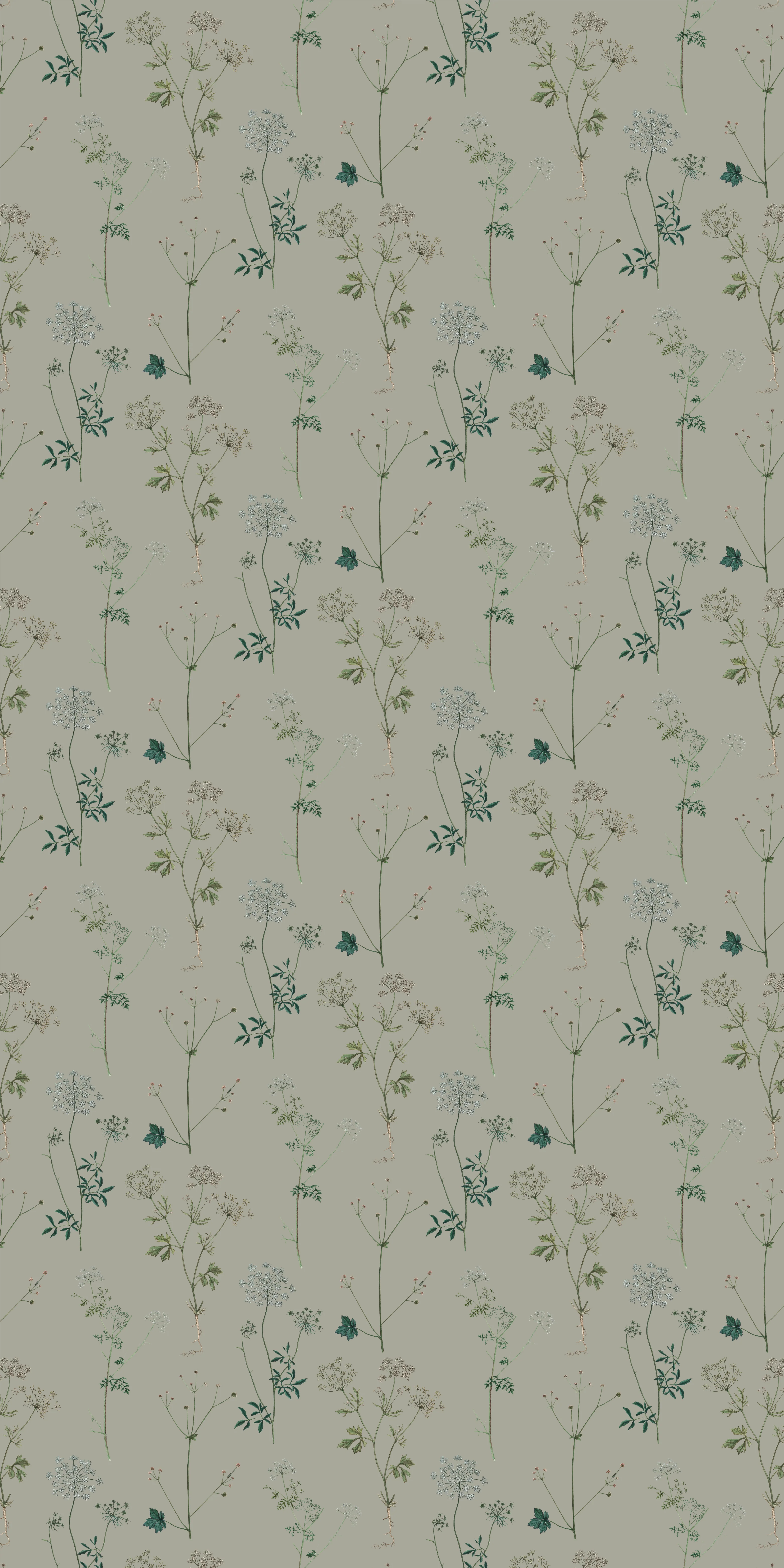 Lace - Image 3