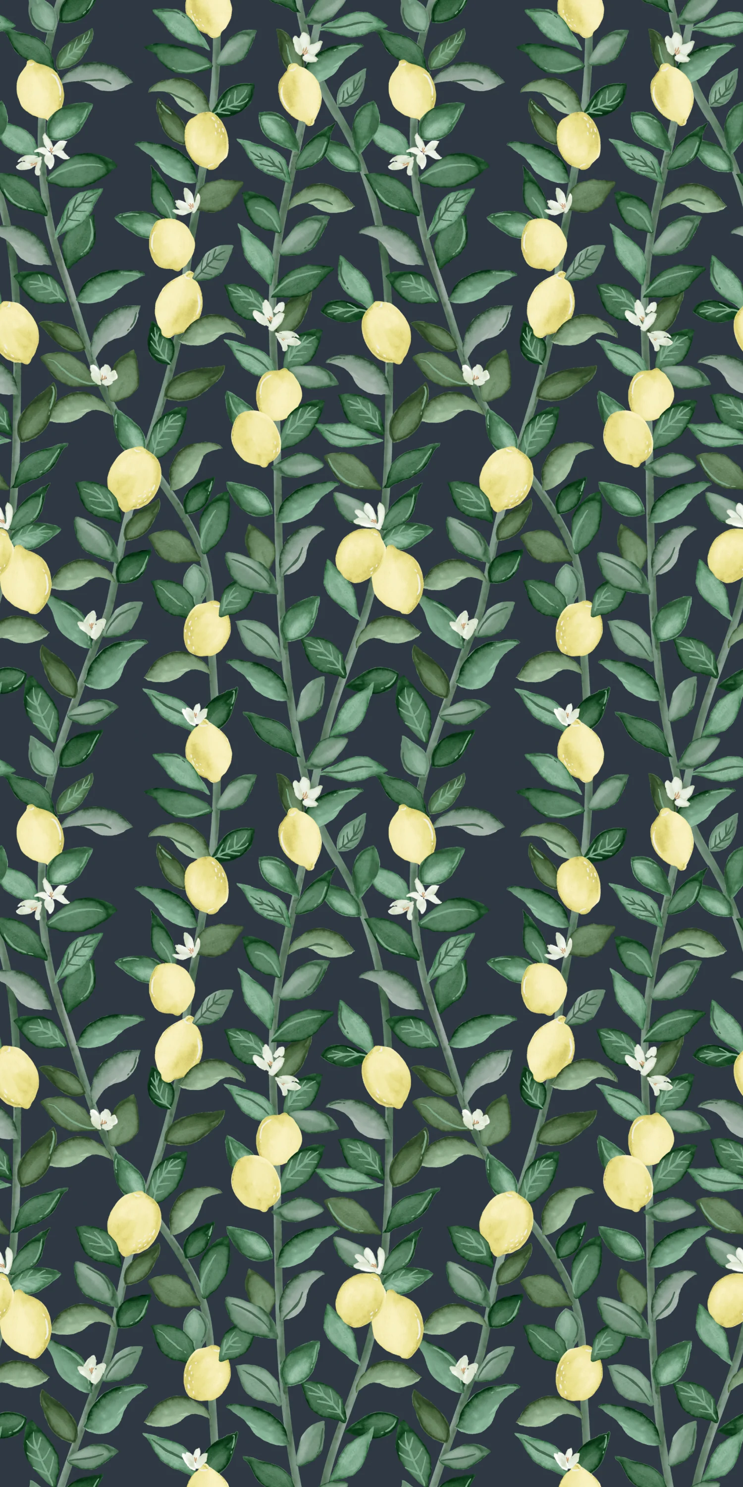 Lemons - Image 2