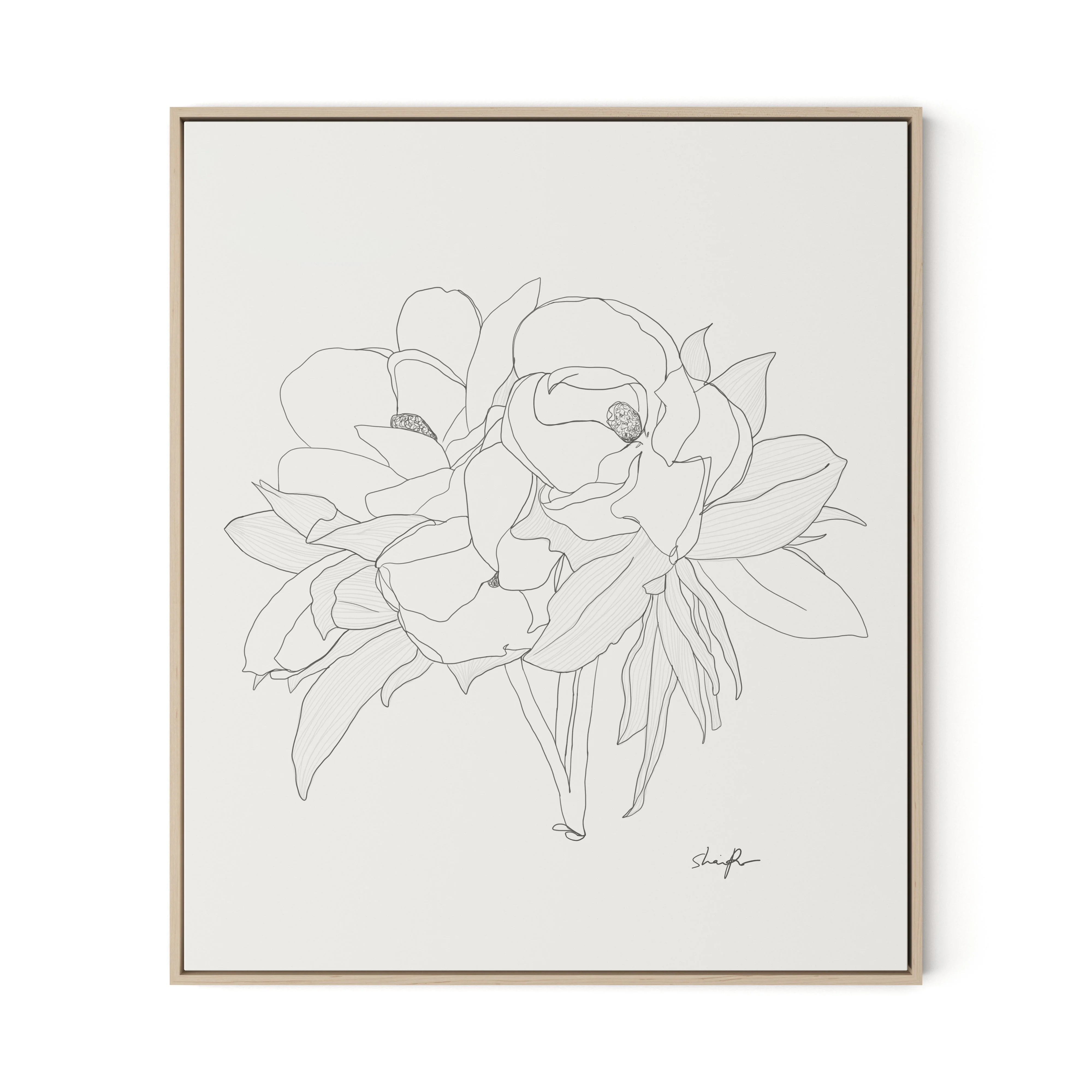 Magnolia