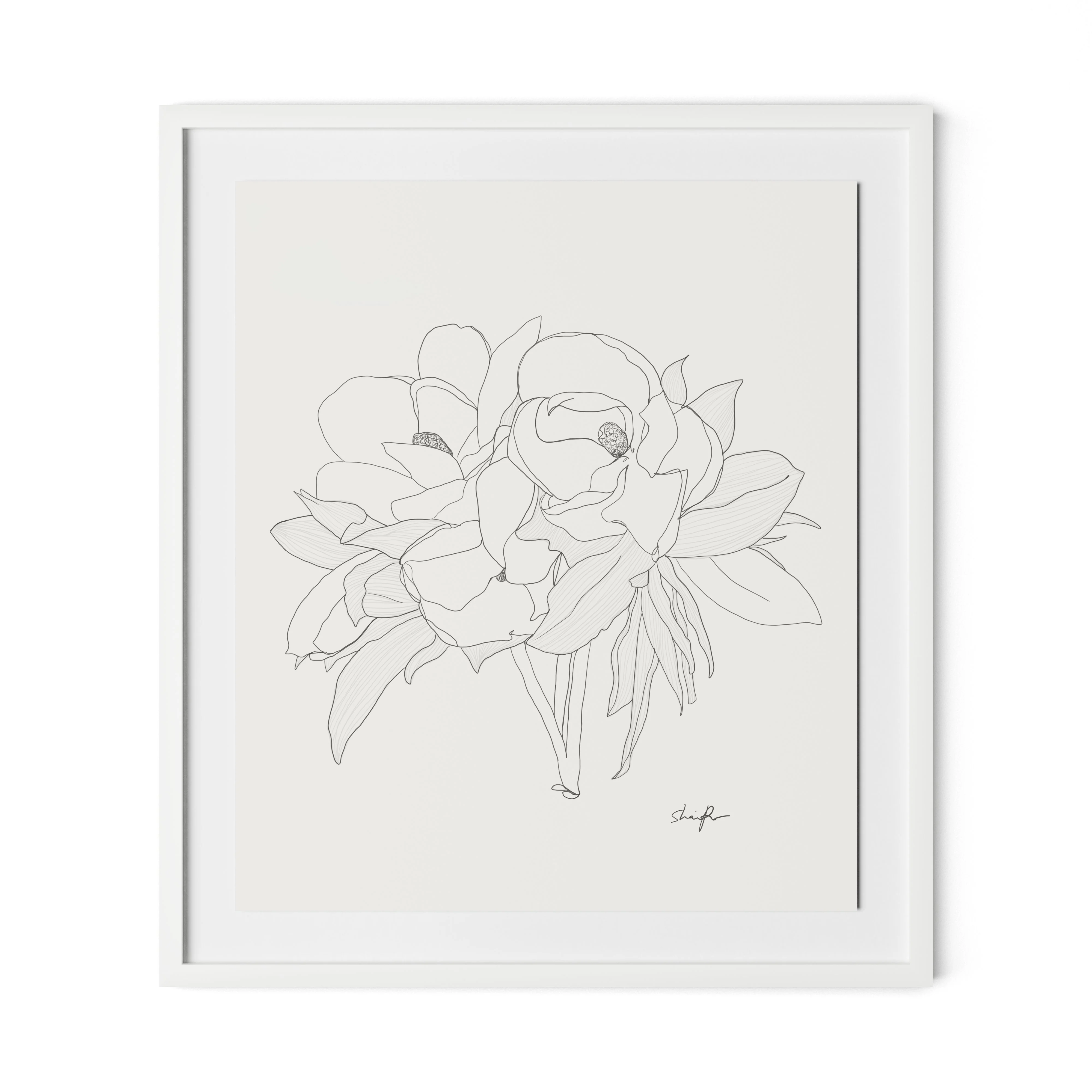 Magnolia - Image 2