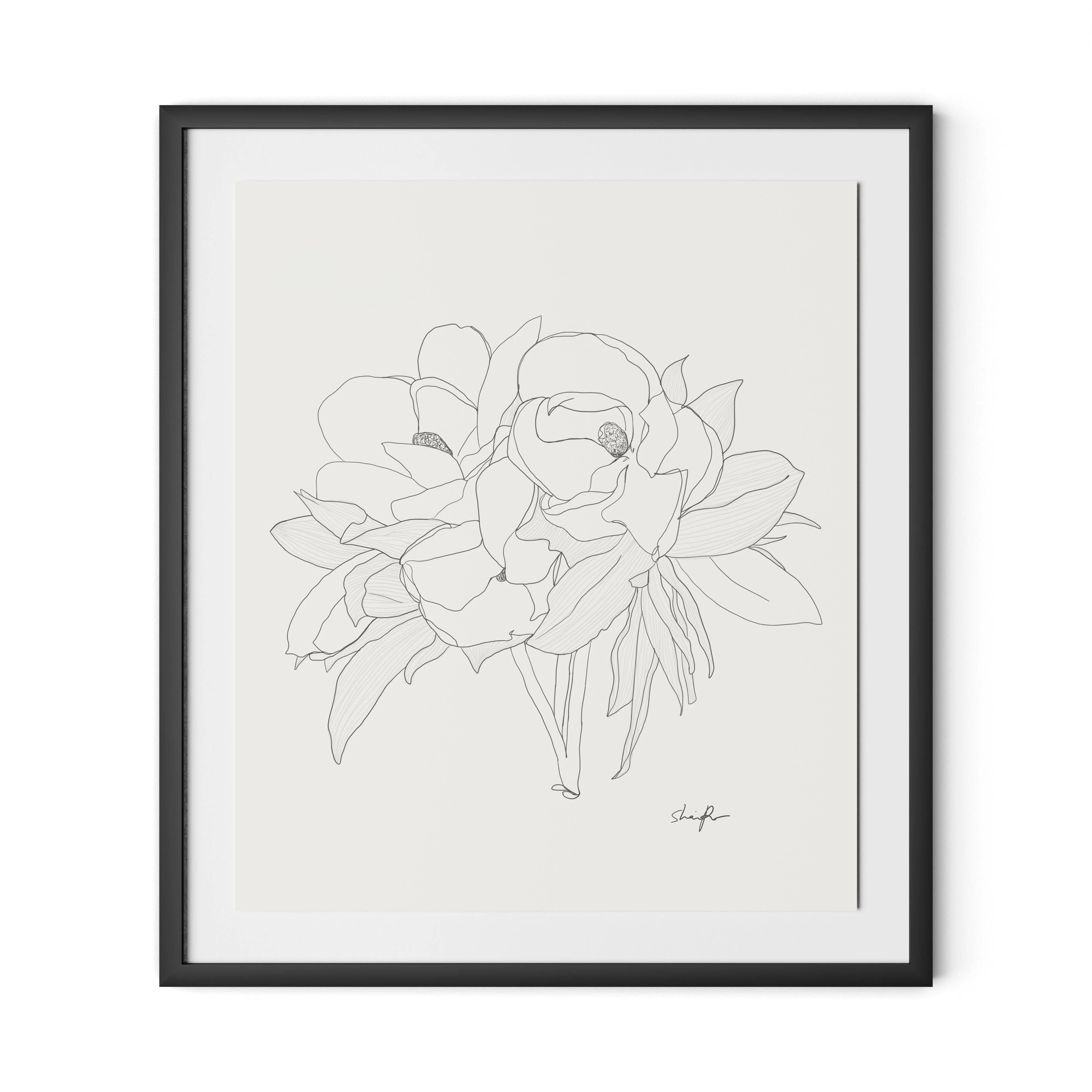 Magnolia - Image 4