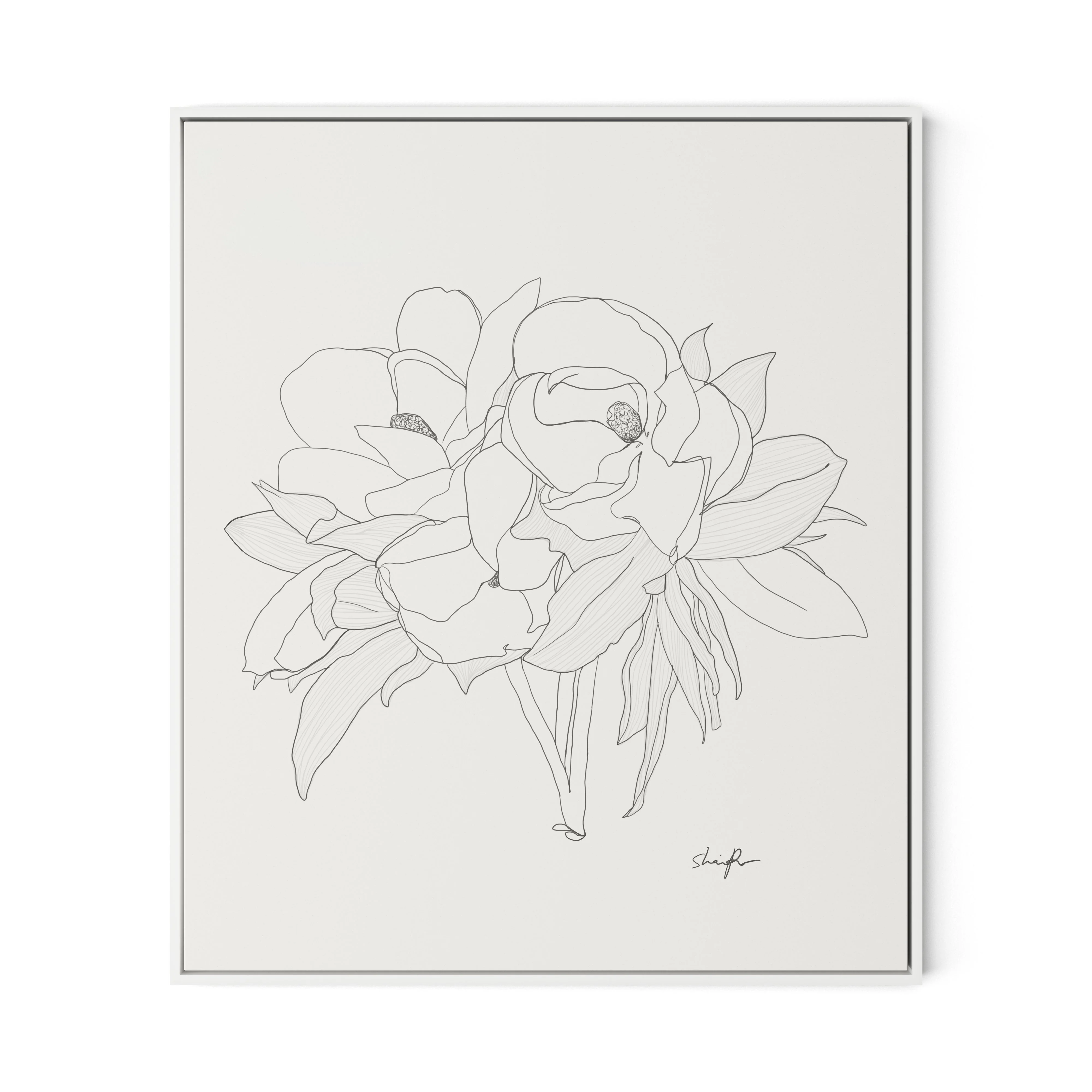 Magnolia - Image 9