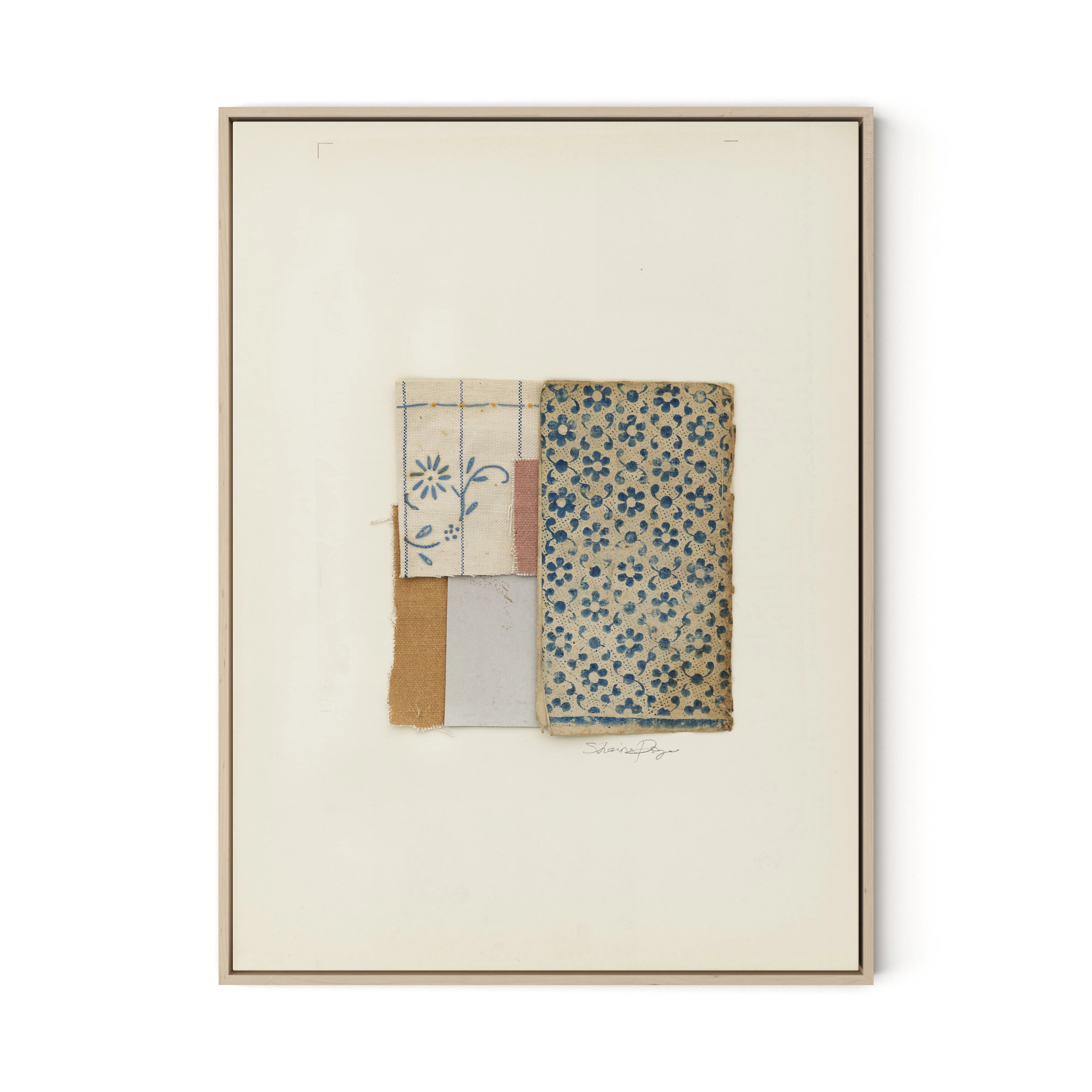 Marguerite Bleue