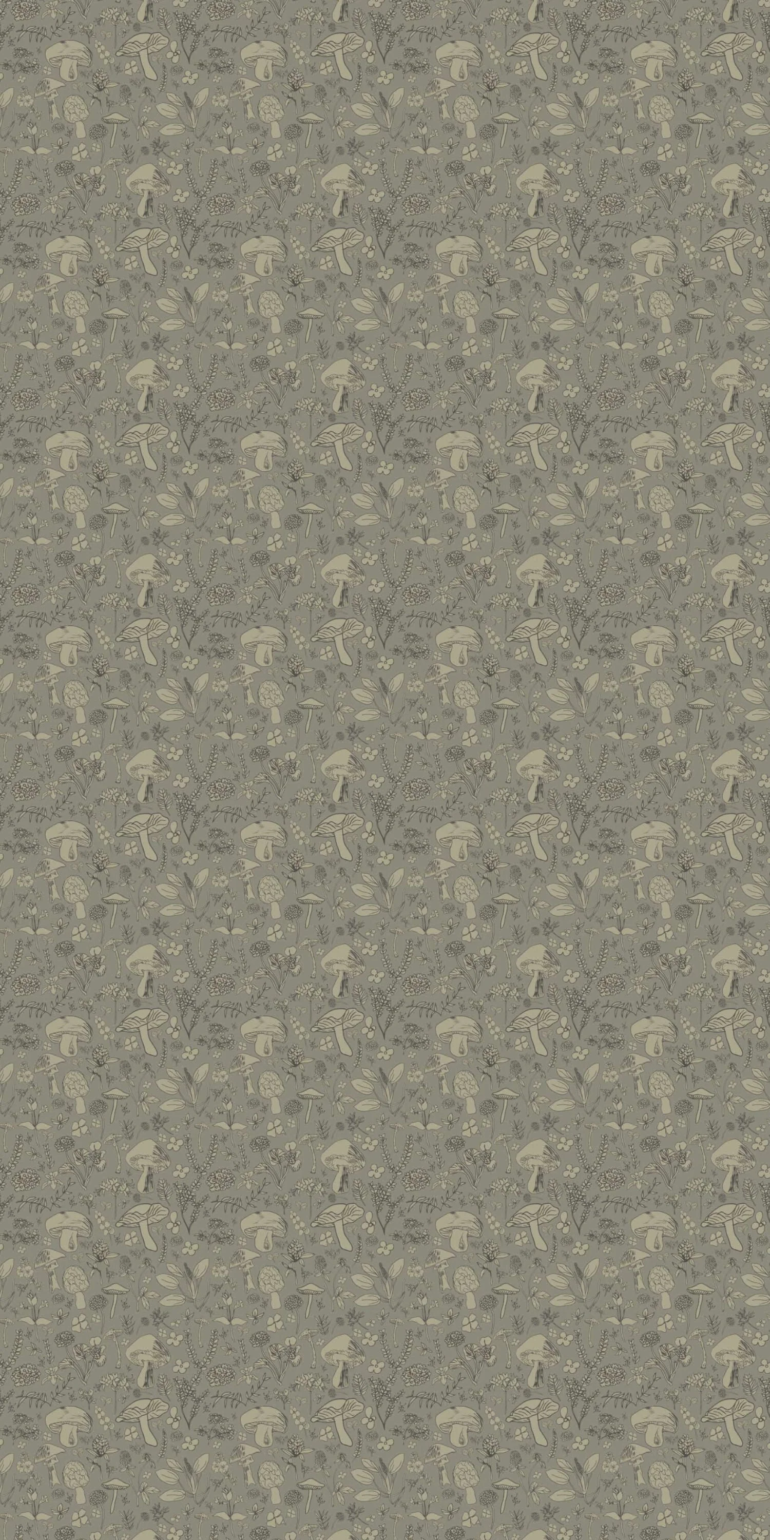 Mushroom - Image 2