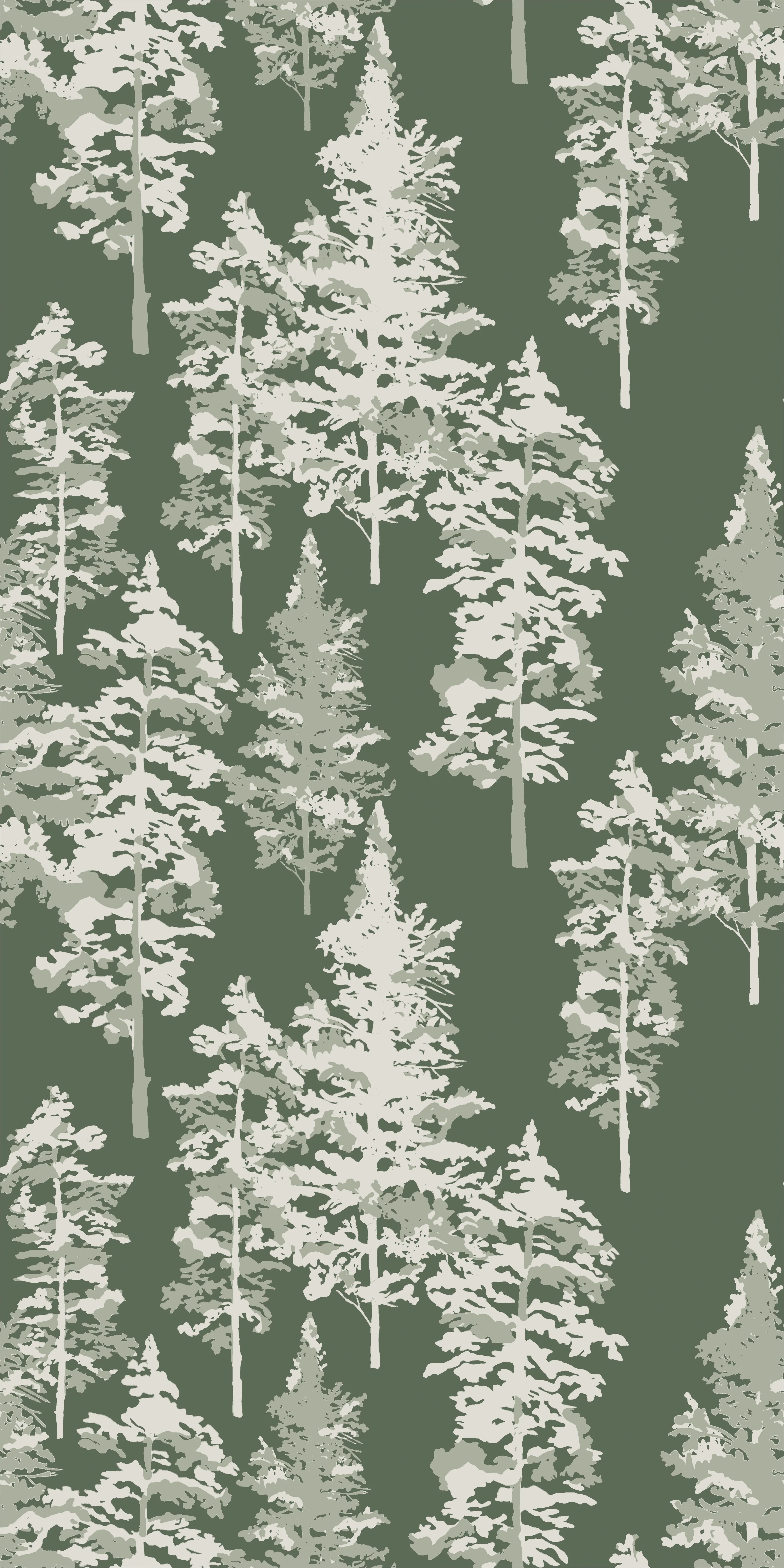 Pacific Northwest - Image 3