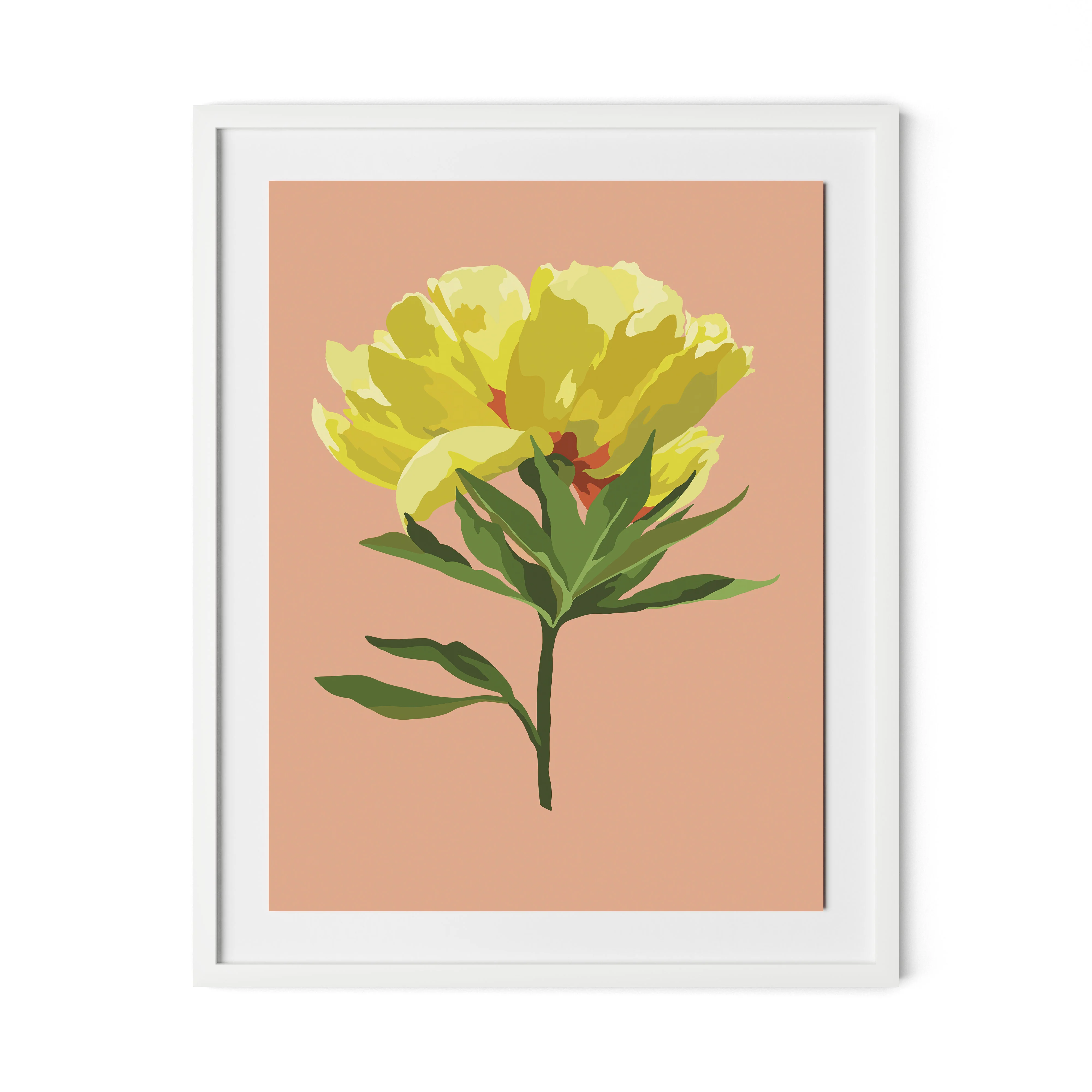 Peony - Image 2