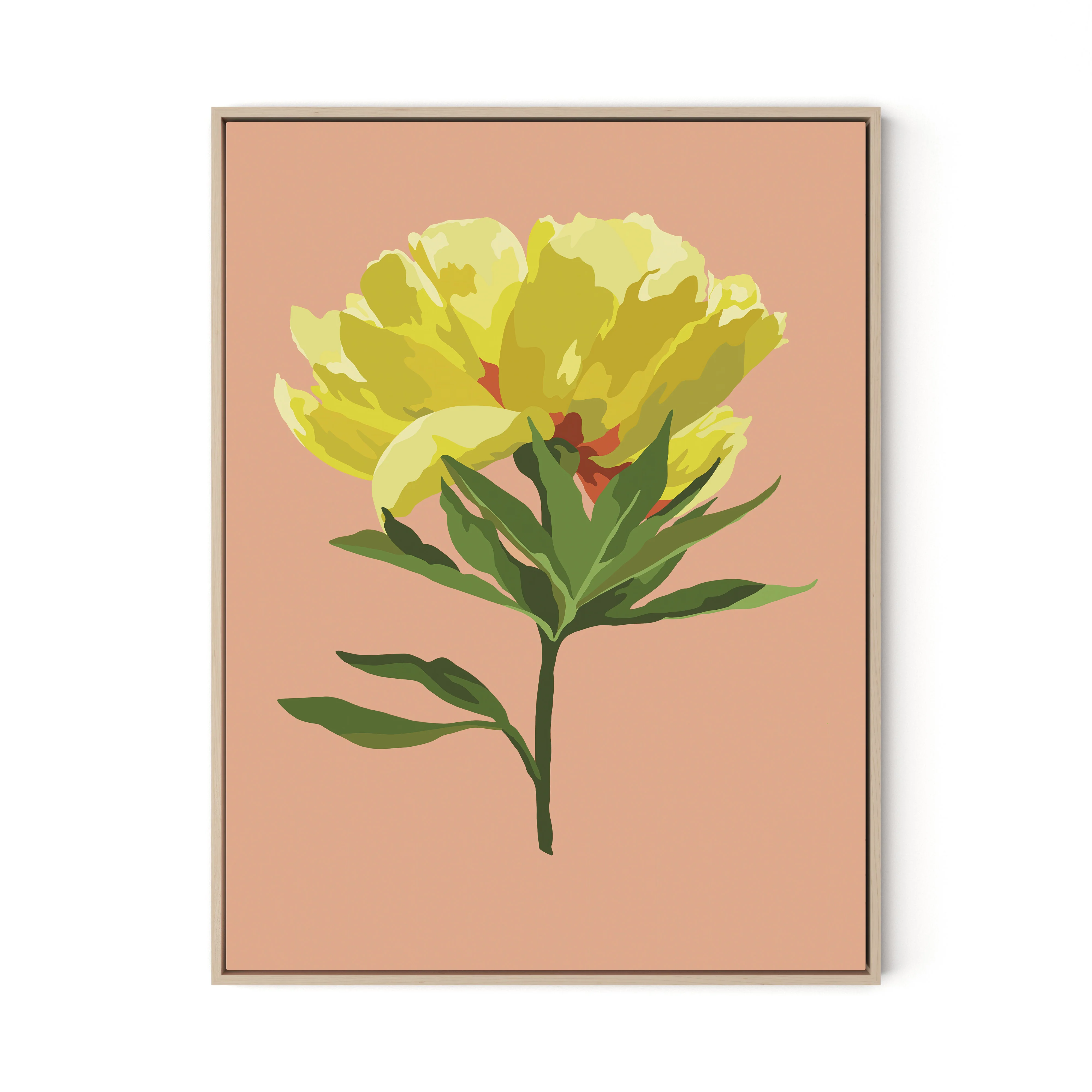 Peony - Image 3