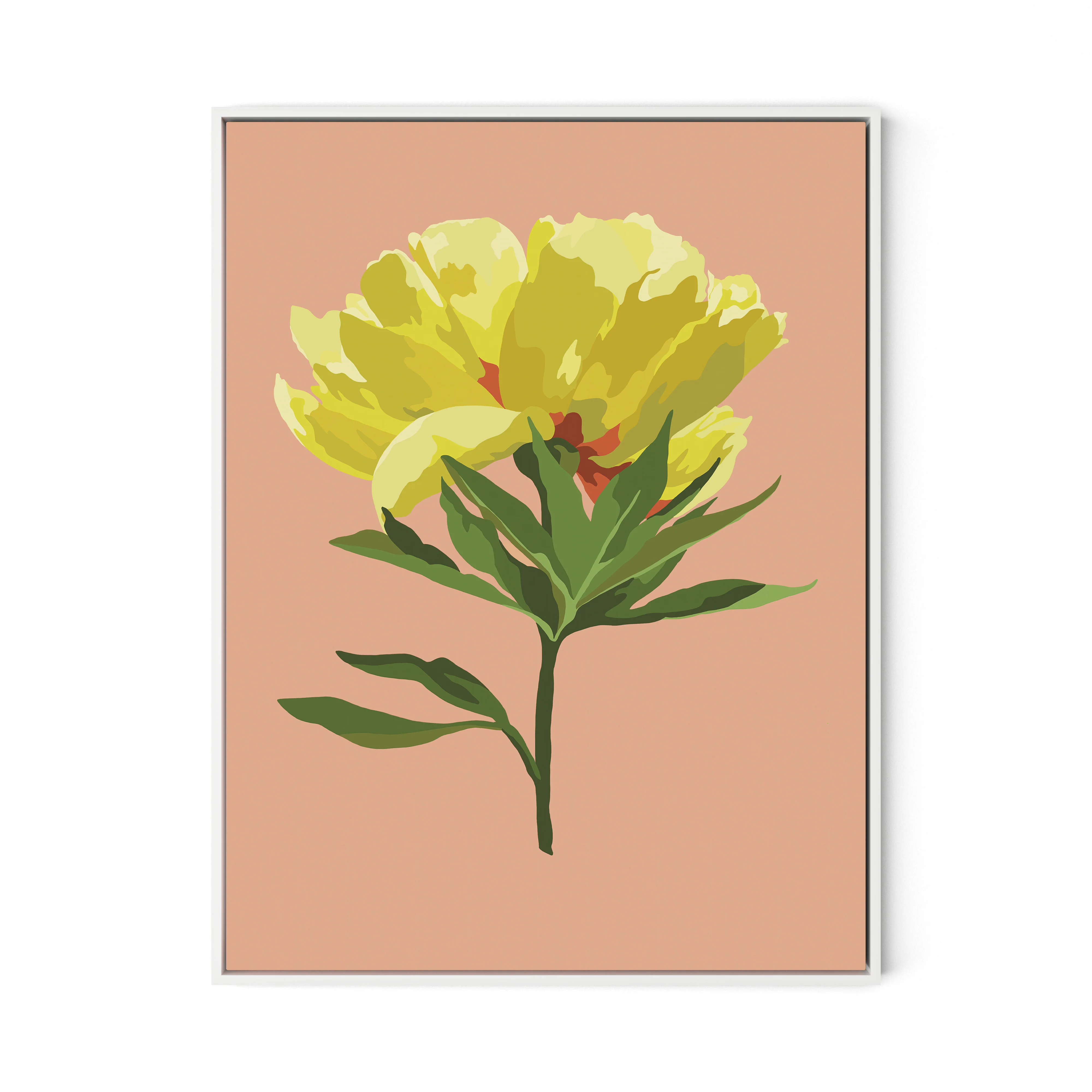 Peony - Image 4