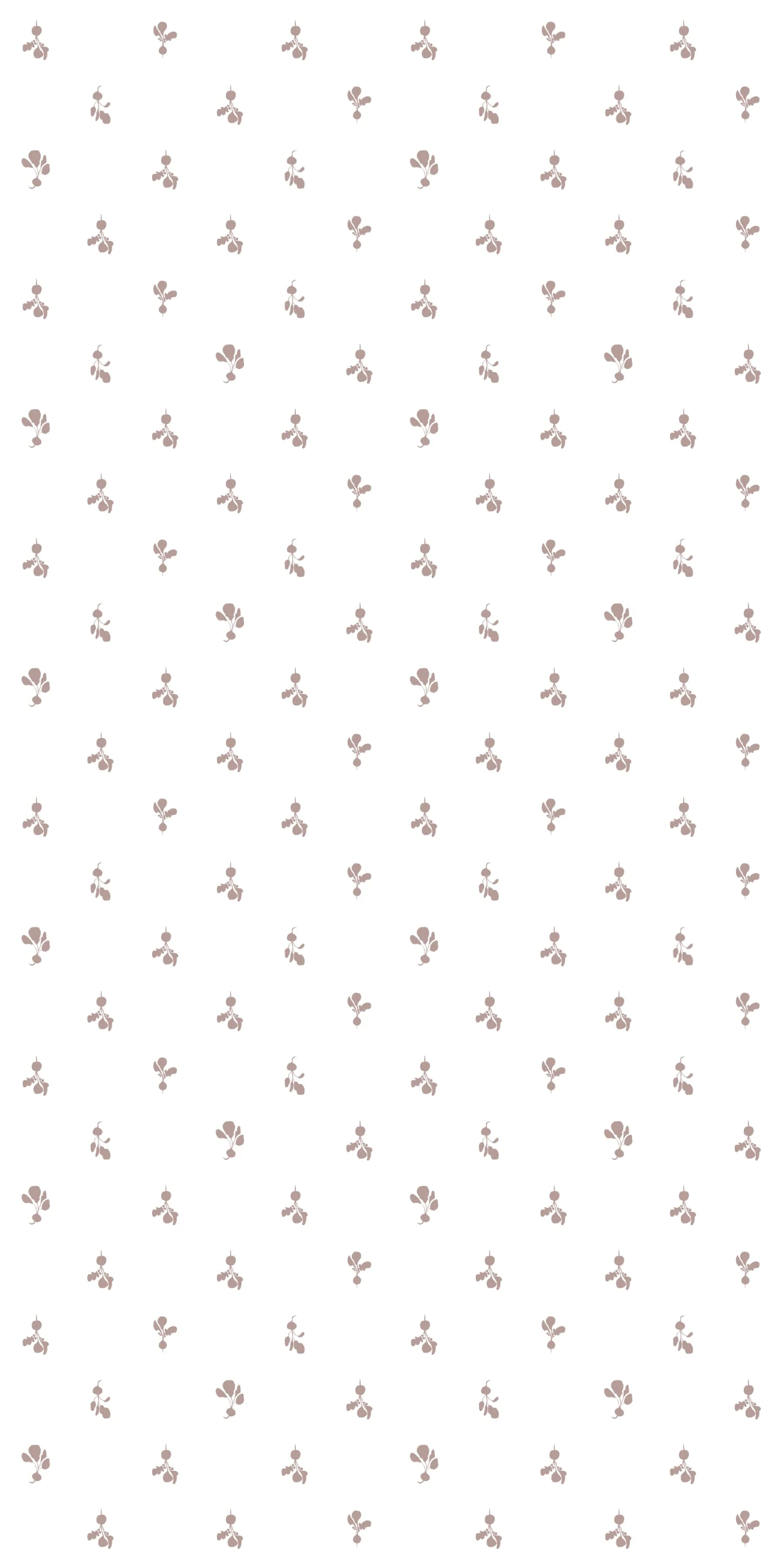 Radish - Image 2
