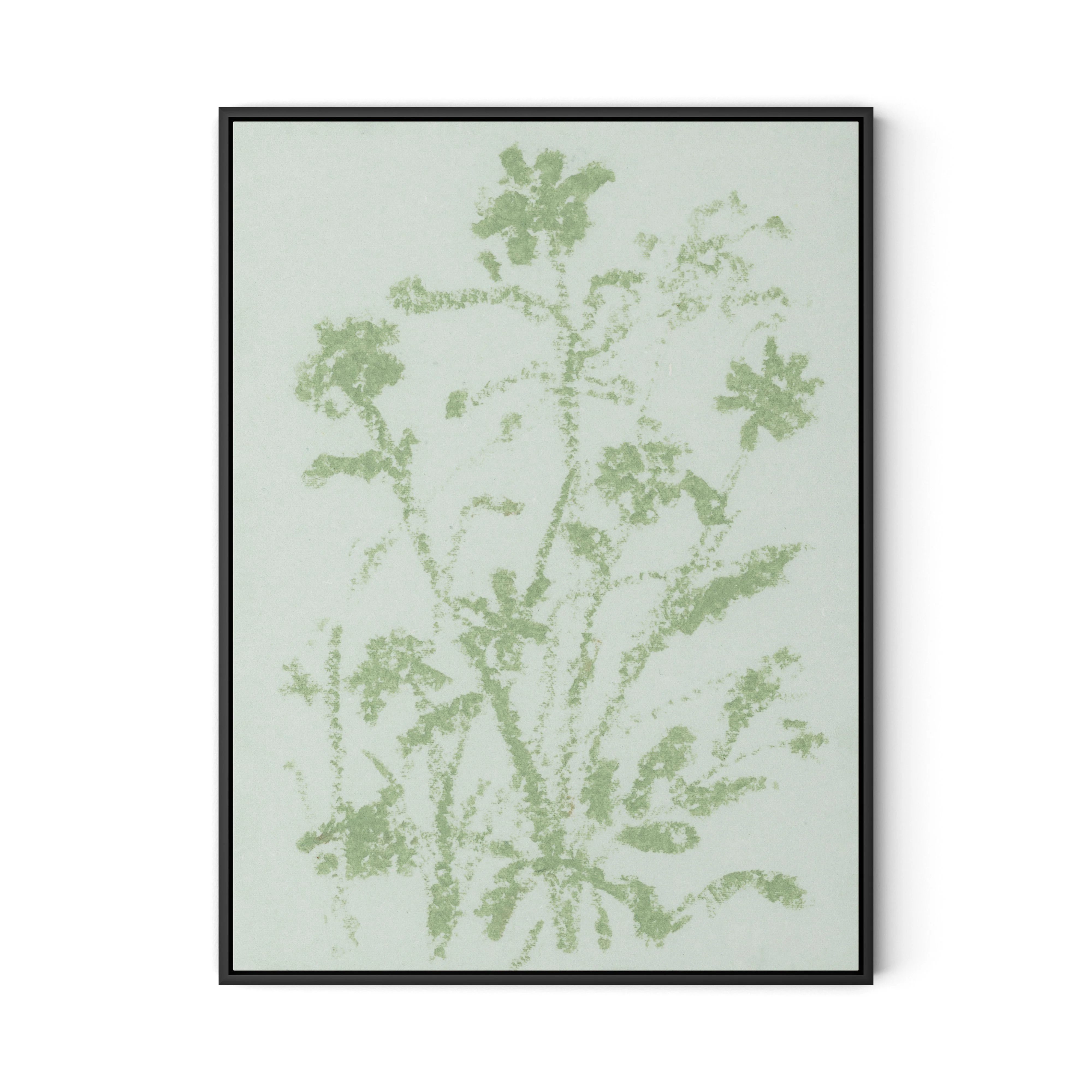 Sage Cosmos - Image 11