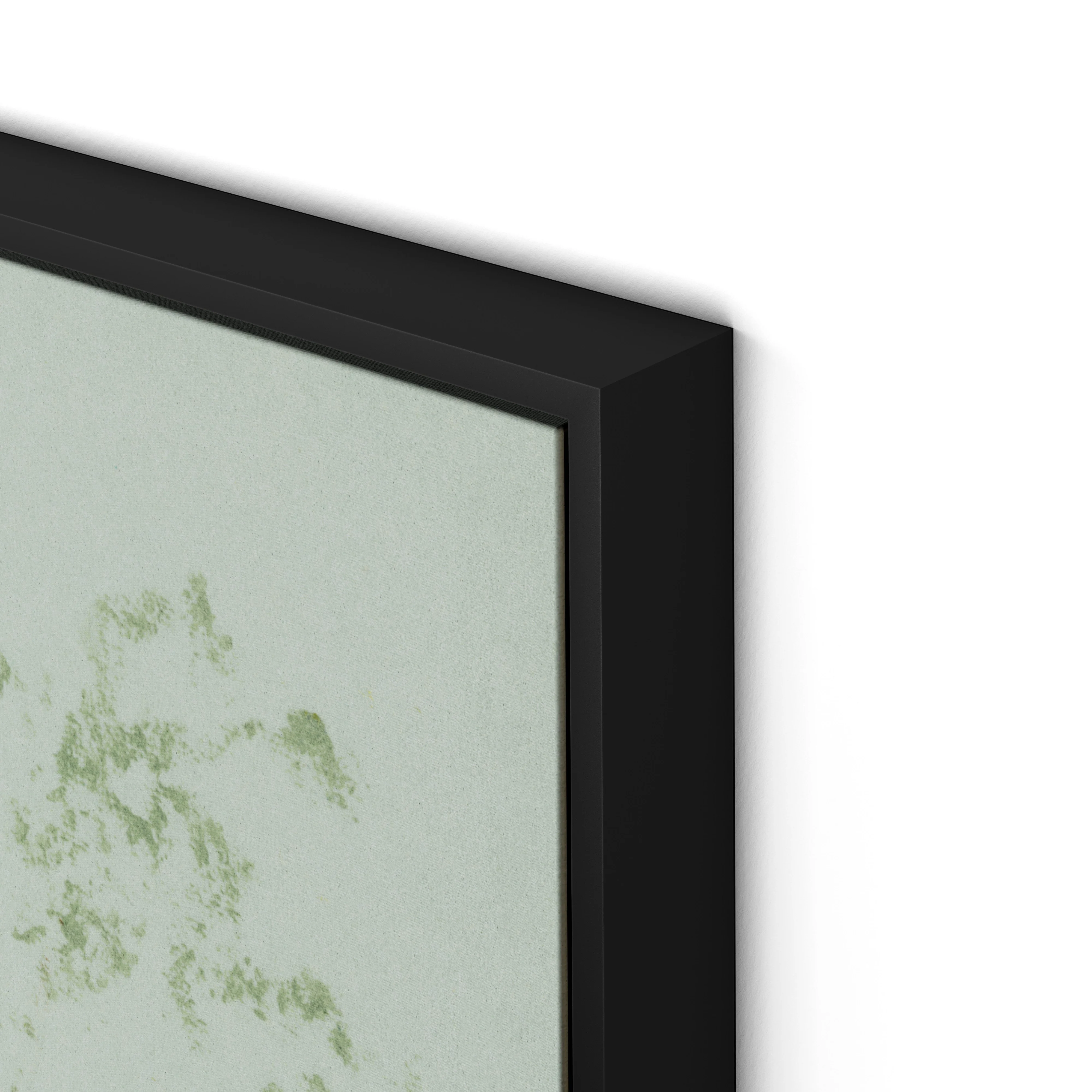 Sage Cosmos - Image 12