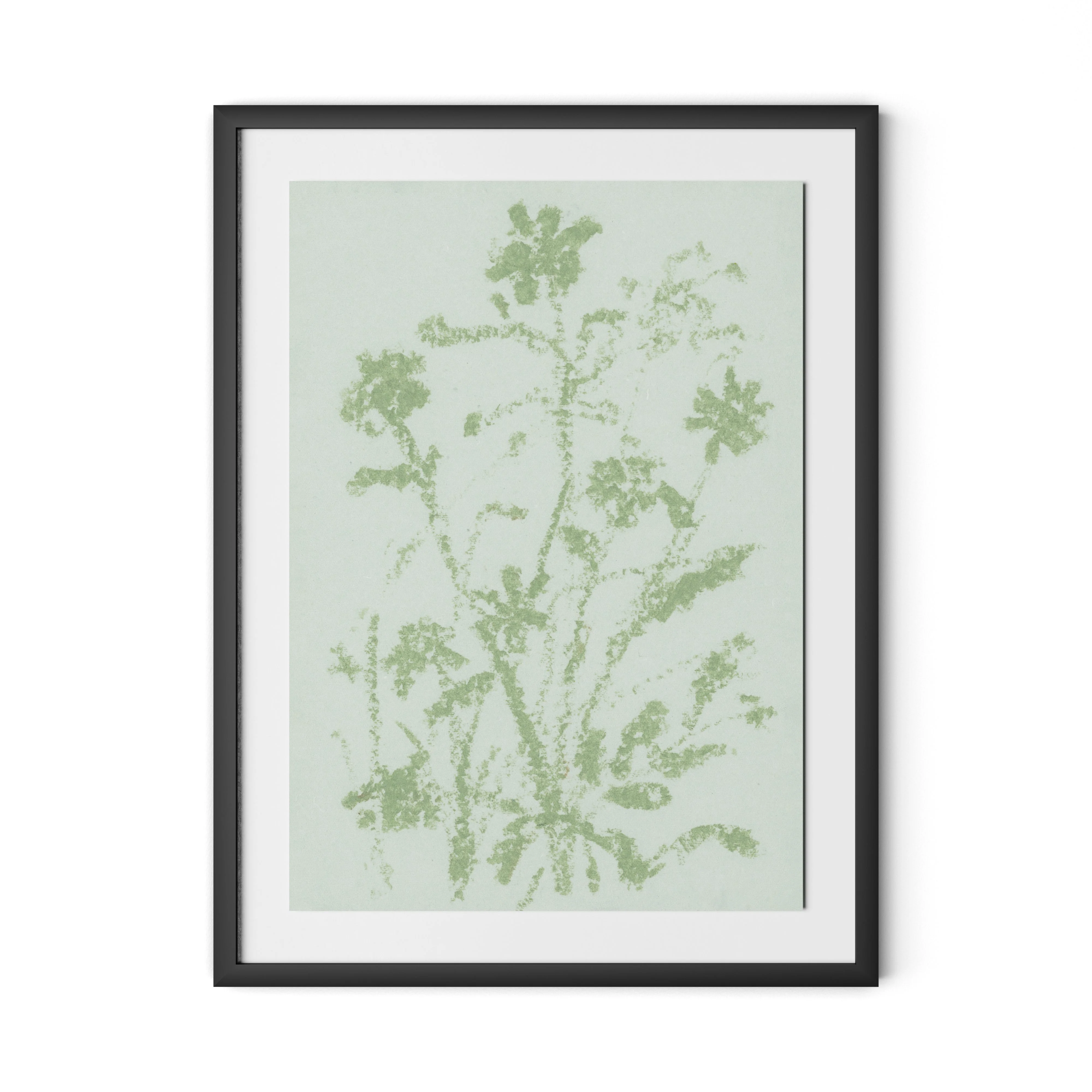 Sage Cosmos - Image 4