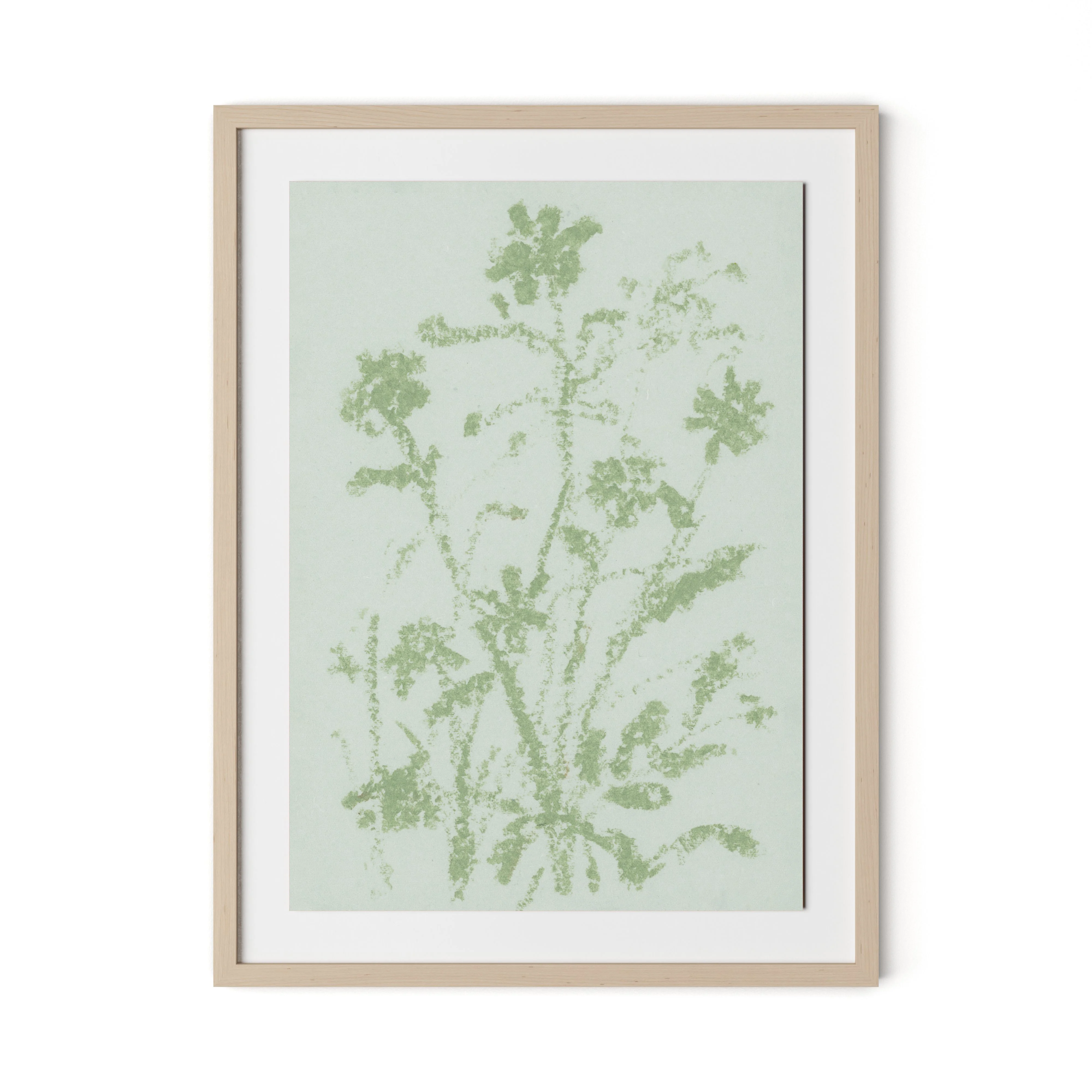 Sage Cosmos - Image 6