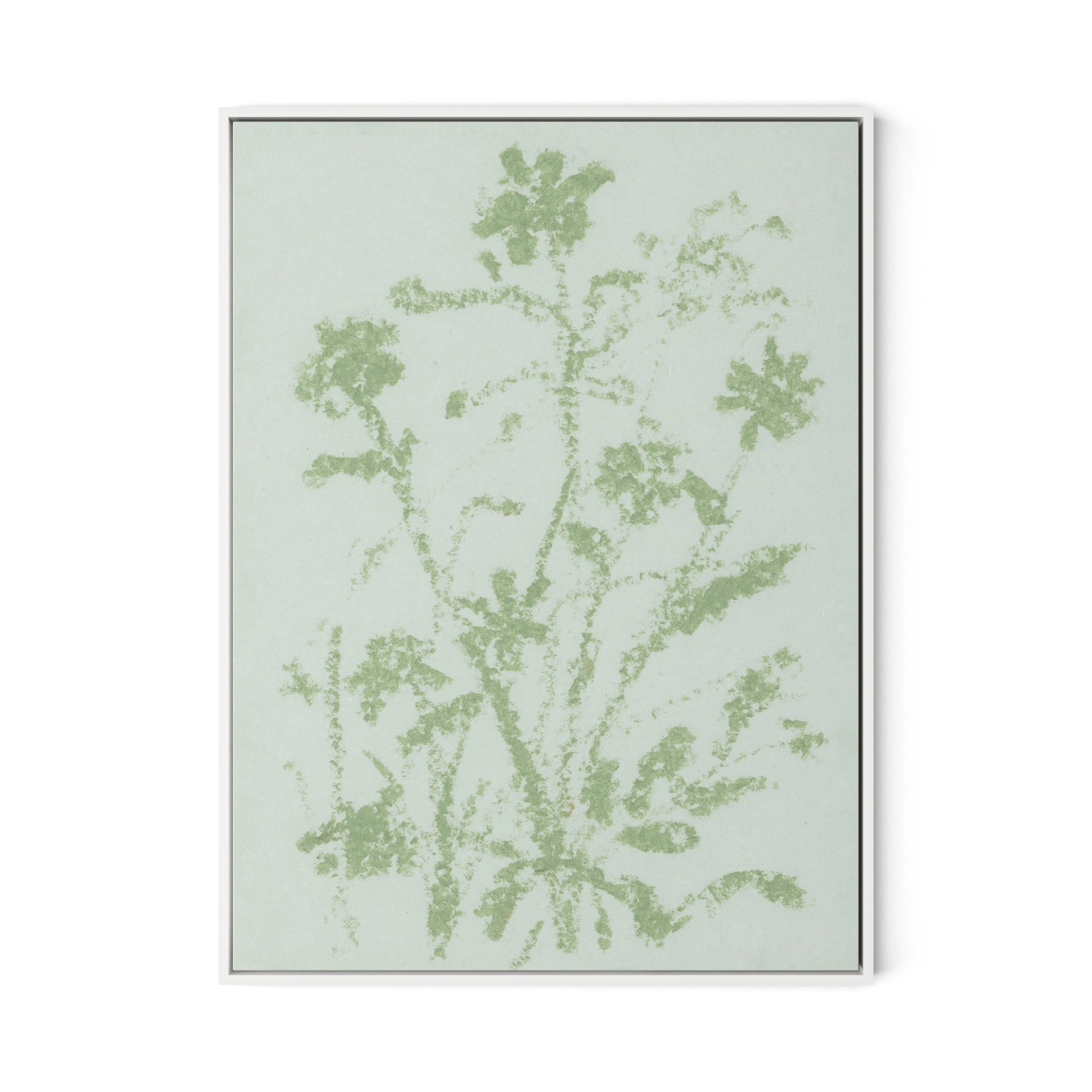 Sage Cosmos - Image 9