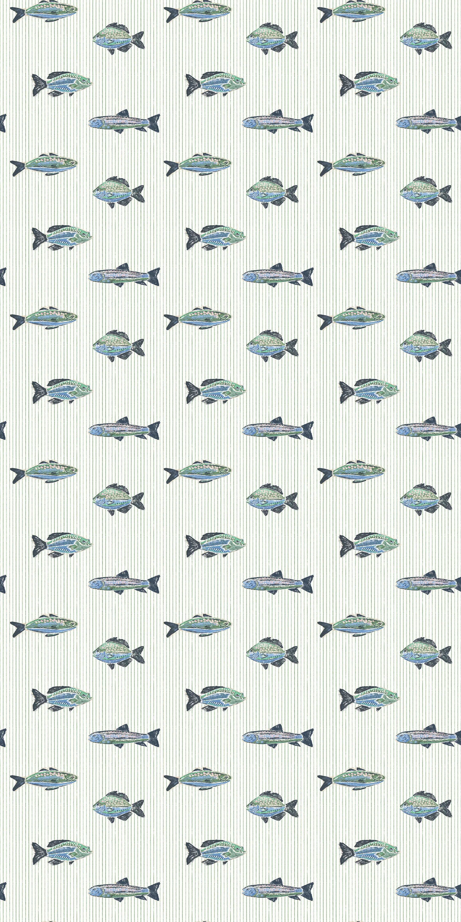 School of Stripes