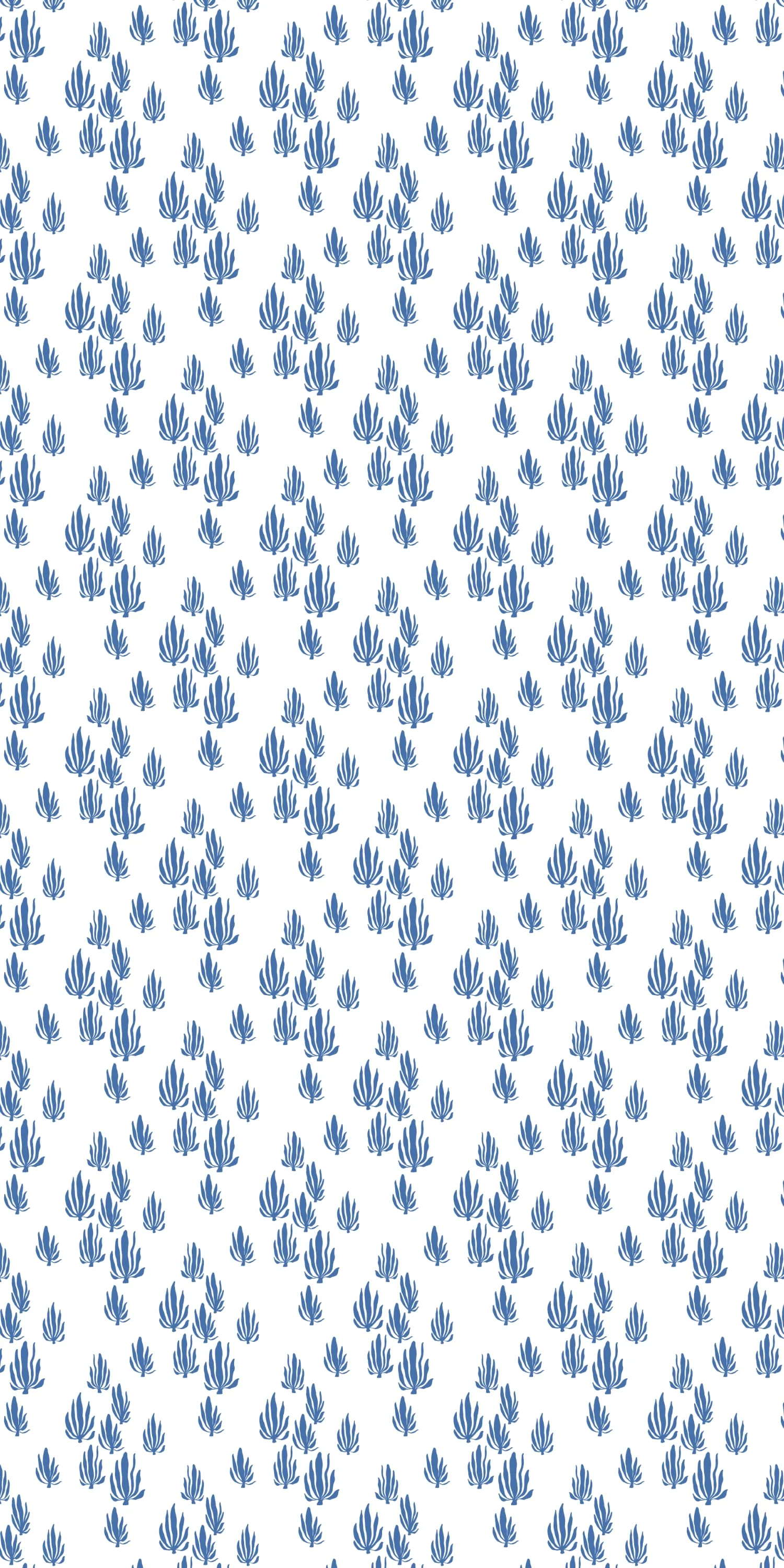 Seaweed - Image 3