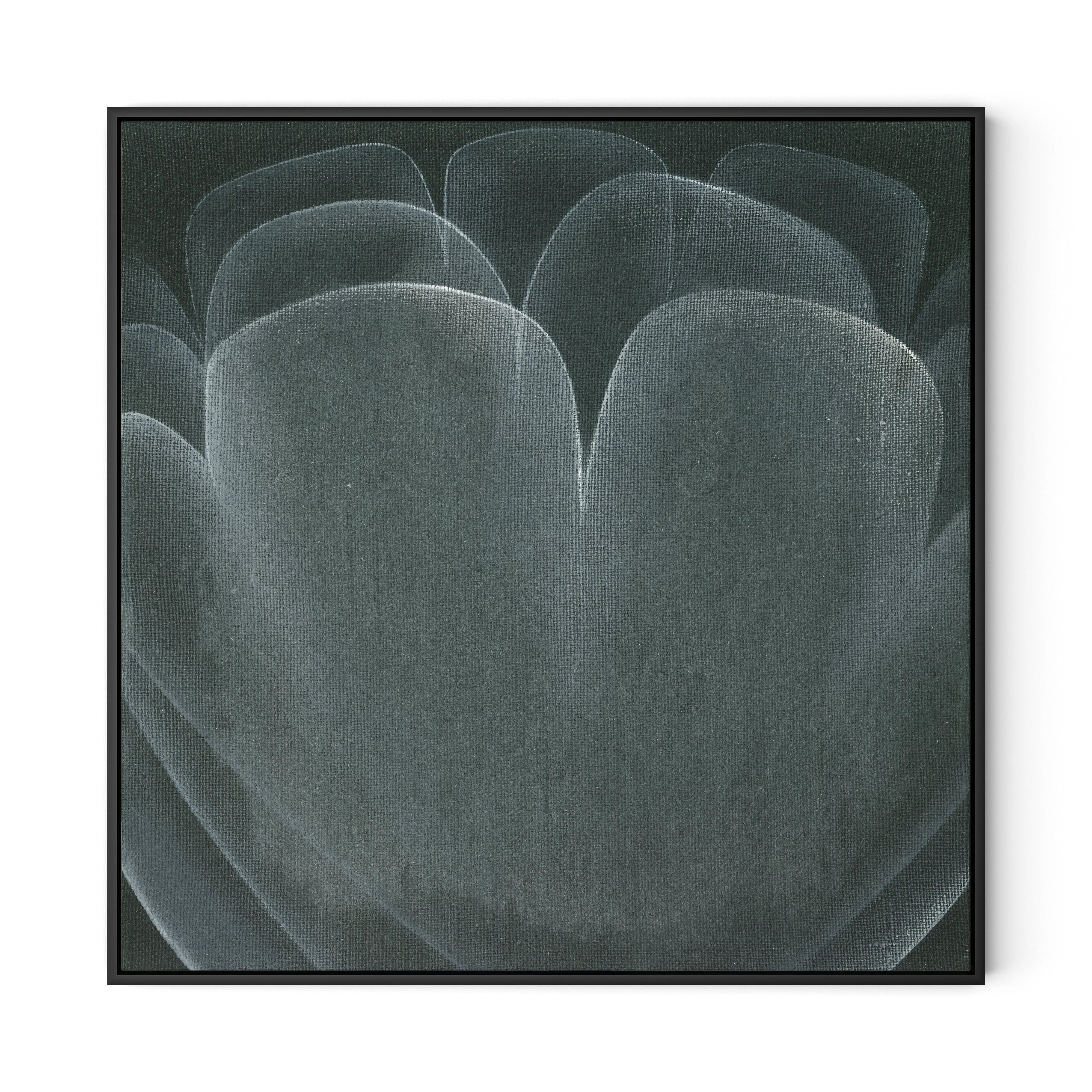 Shadows II - Image 11
