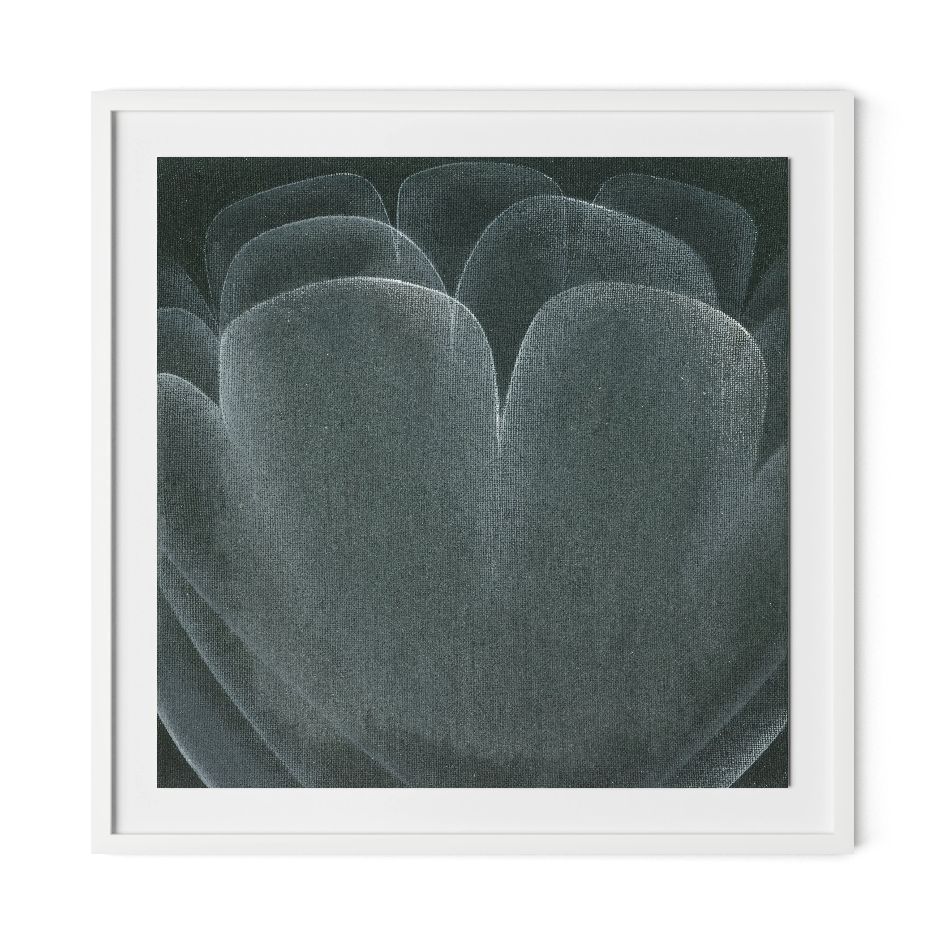 Shadows II - Image 2