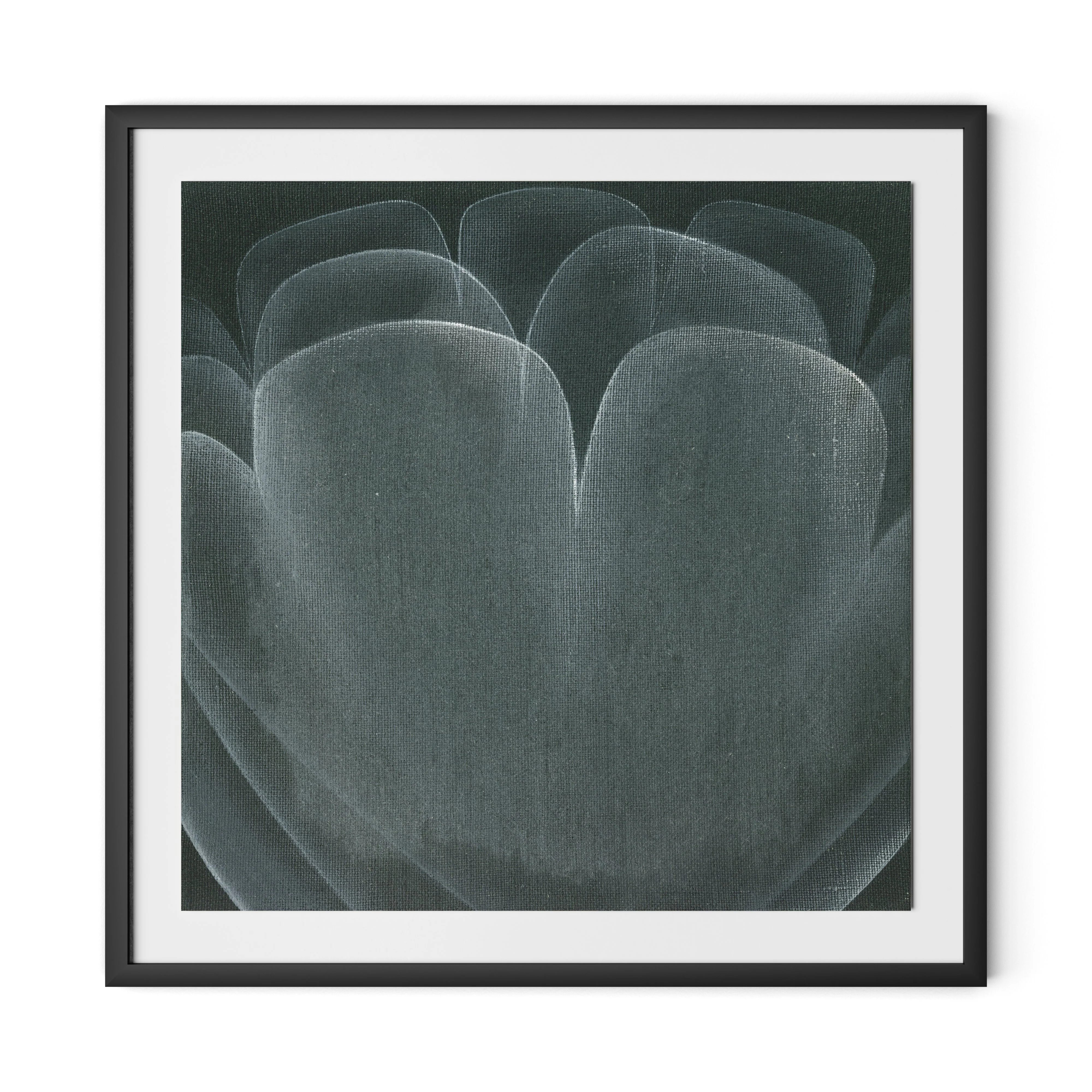 Shadows II - Image 4