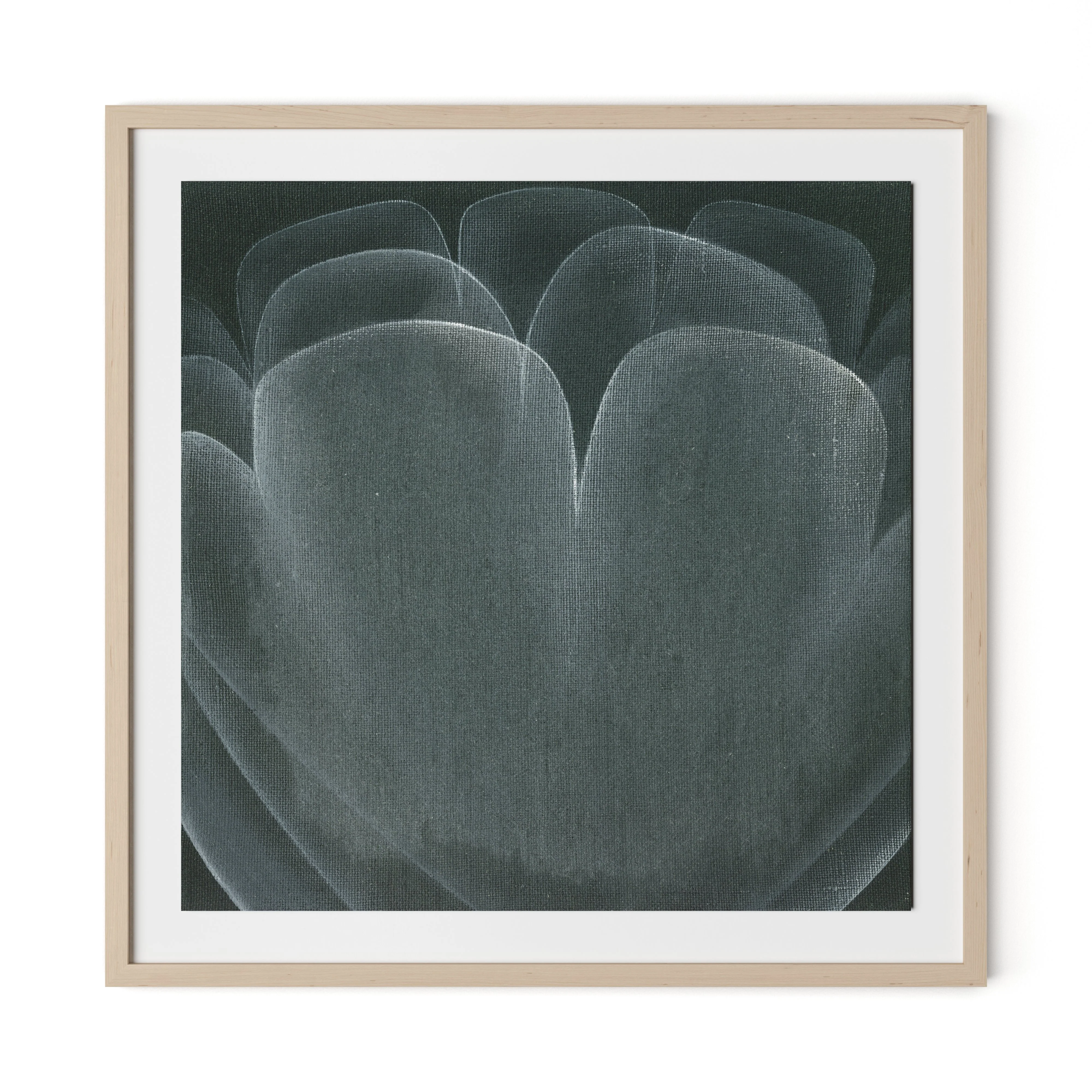 Shadows II - Image 6